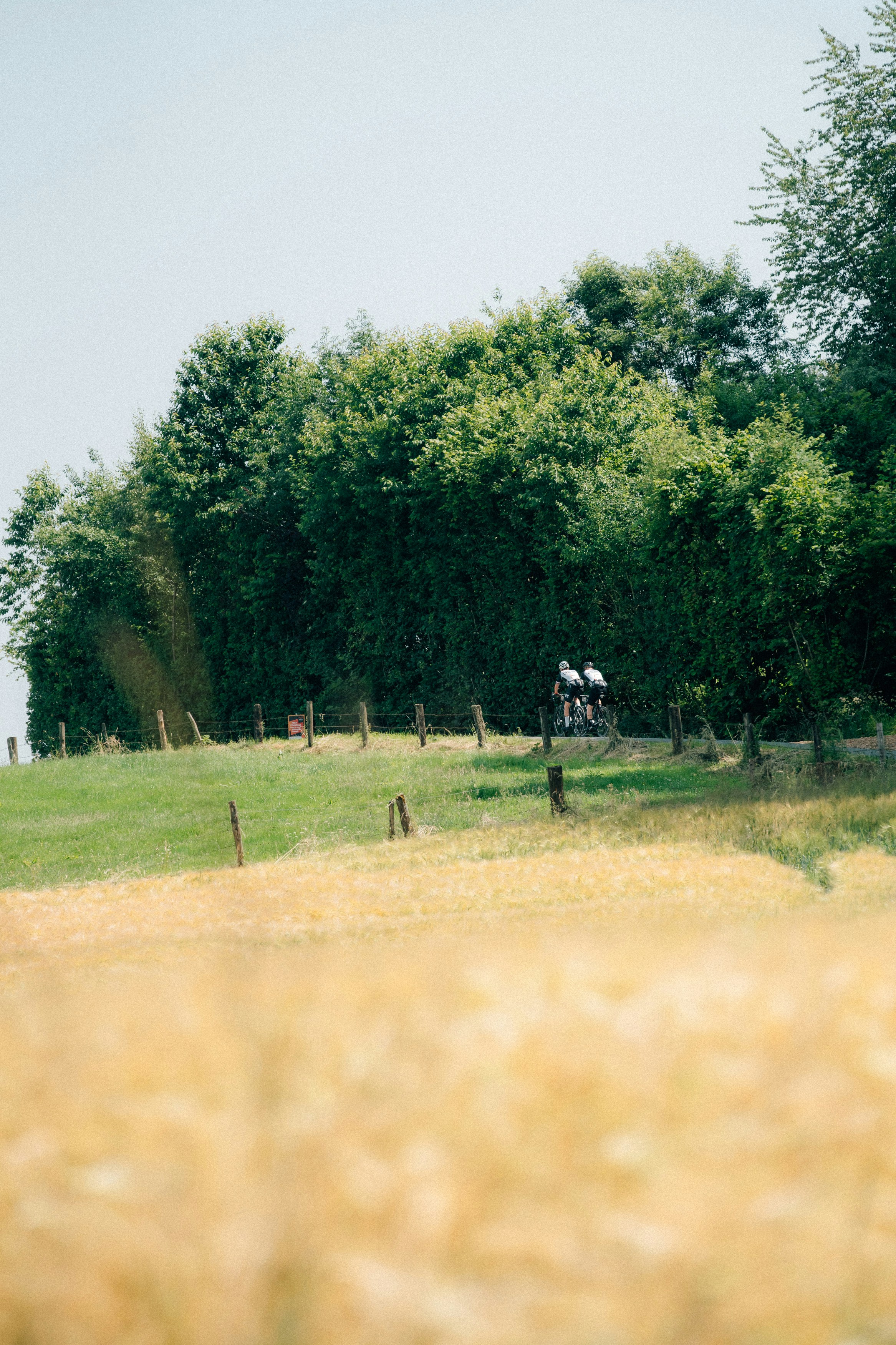 Photo by fredogerdes