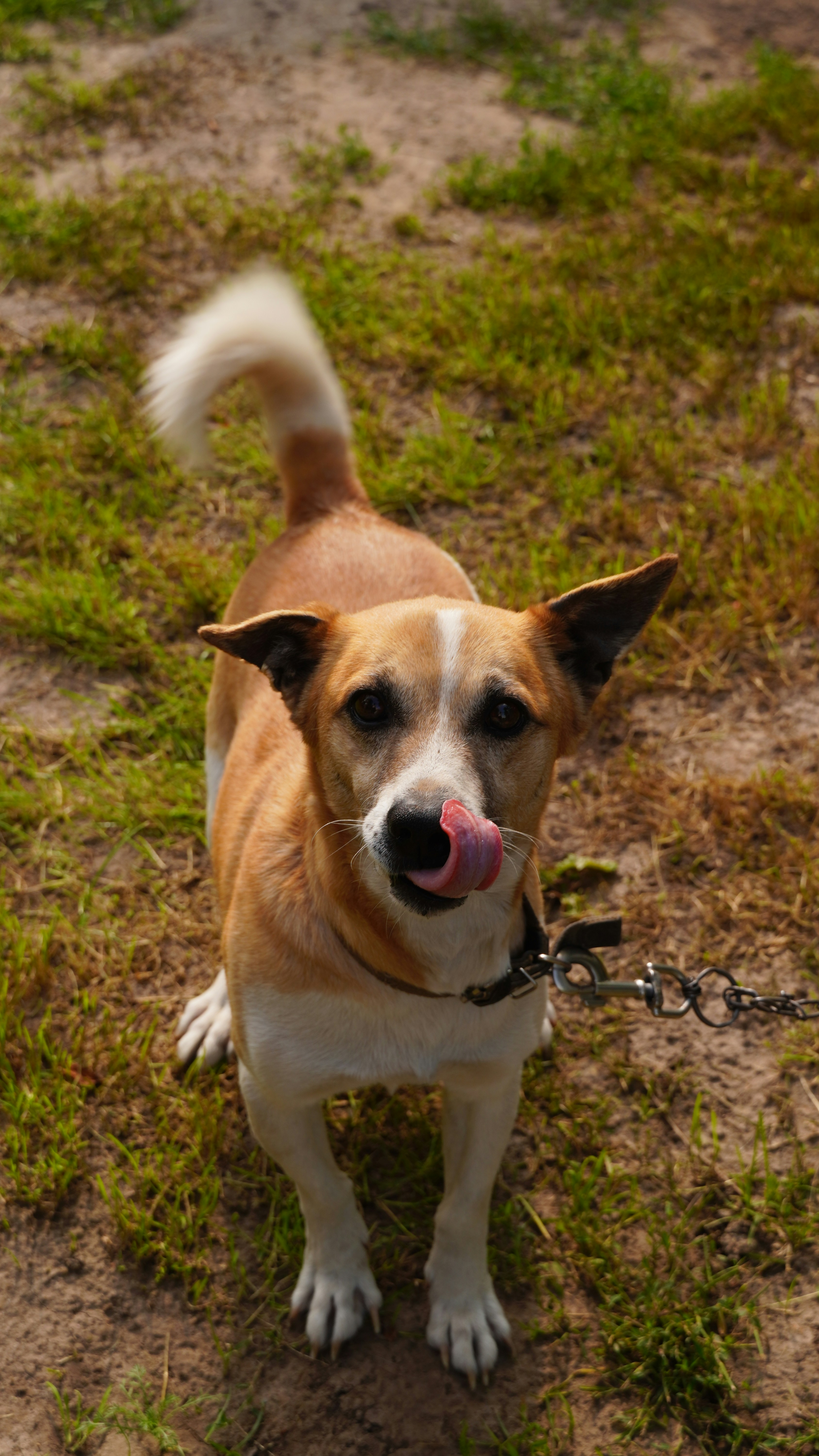 Photo by oleksandra_sereda