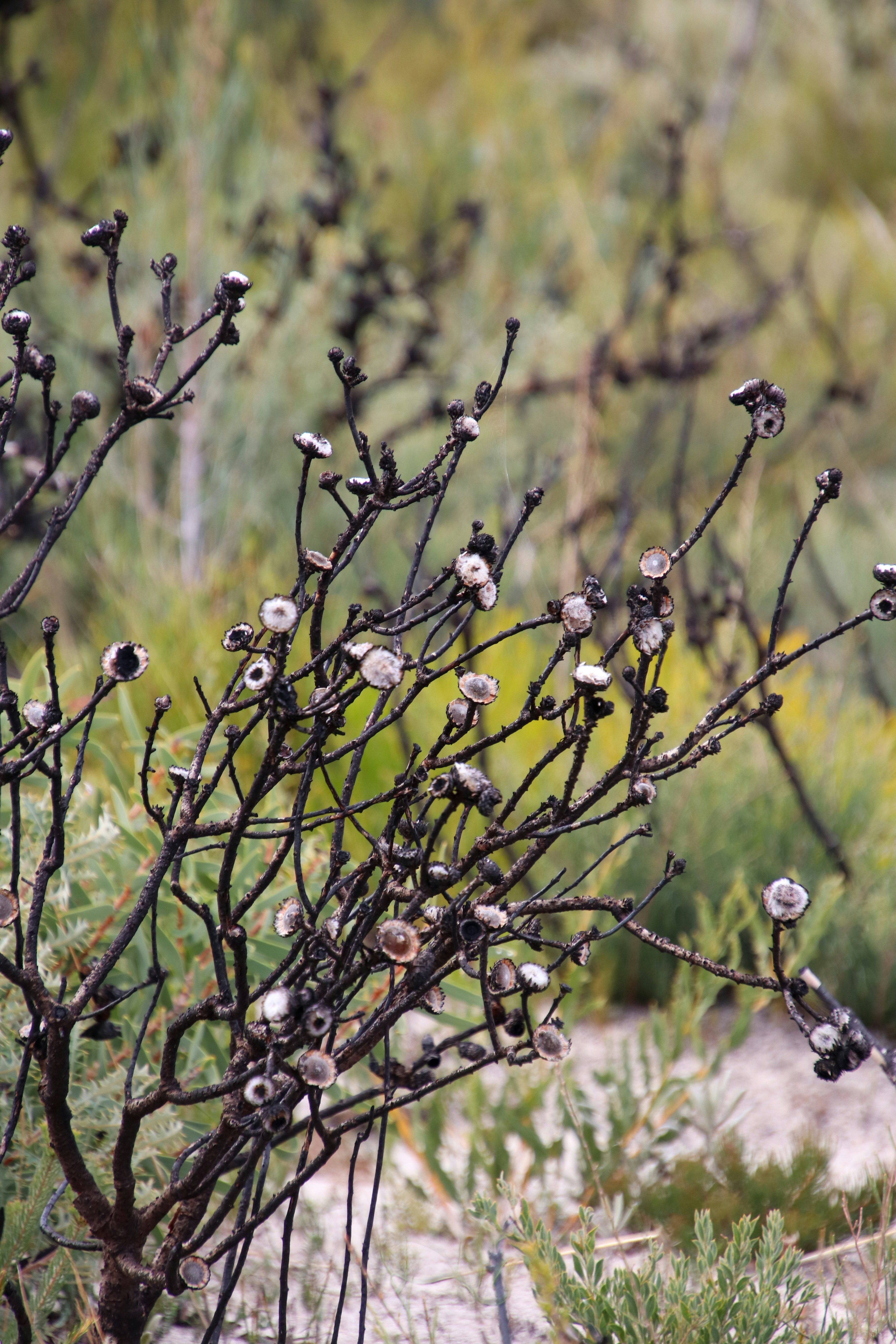 Photo by megmakesme