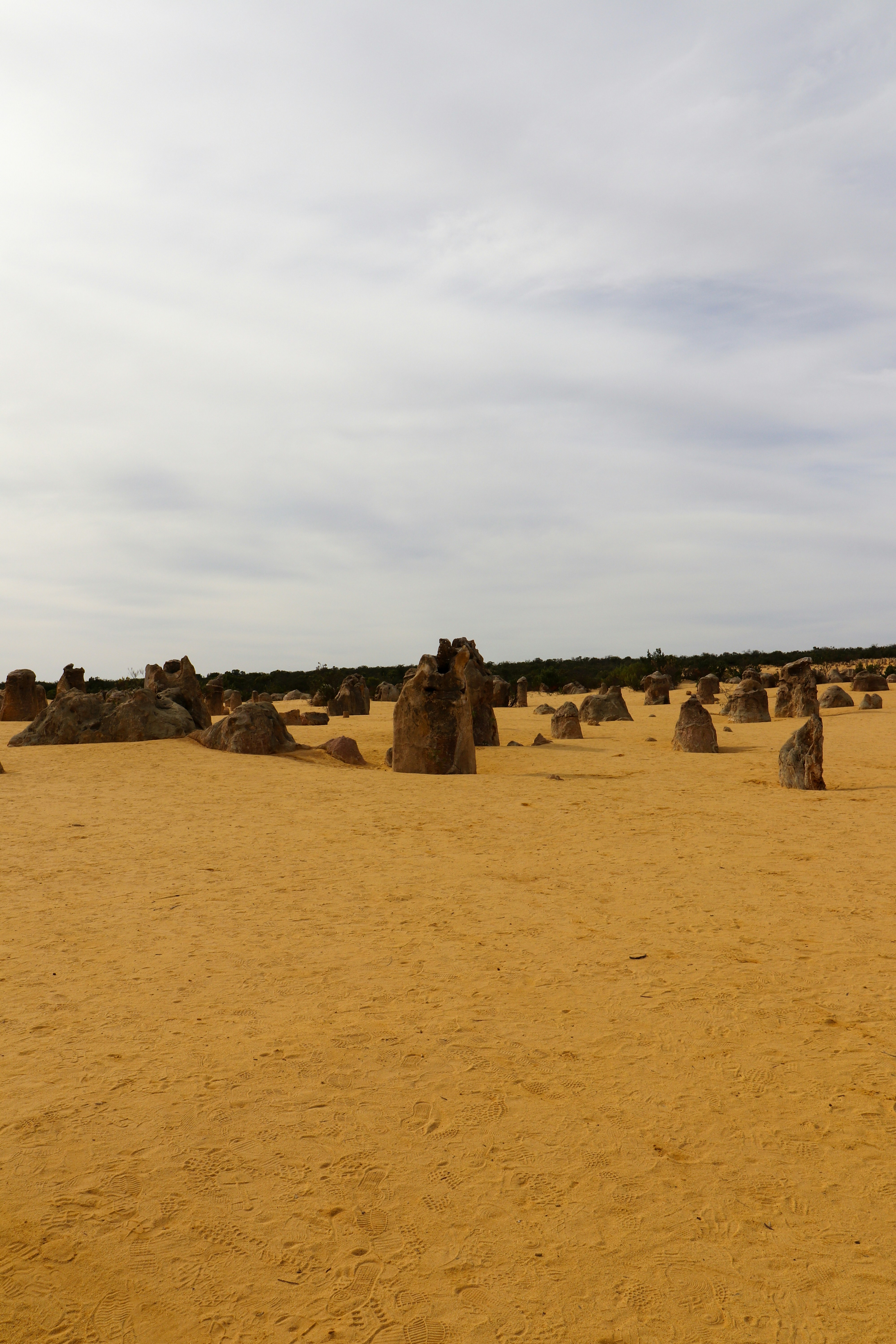 The pinnacles desert showcases unique limestone formations.