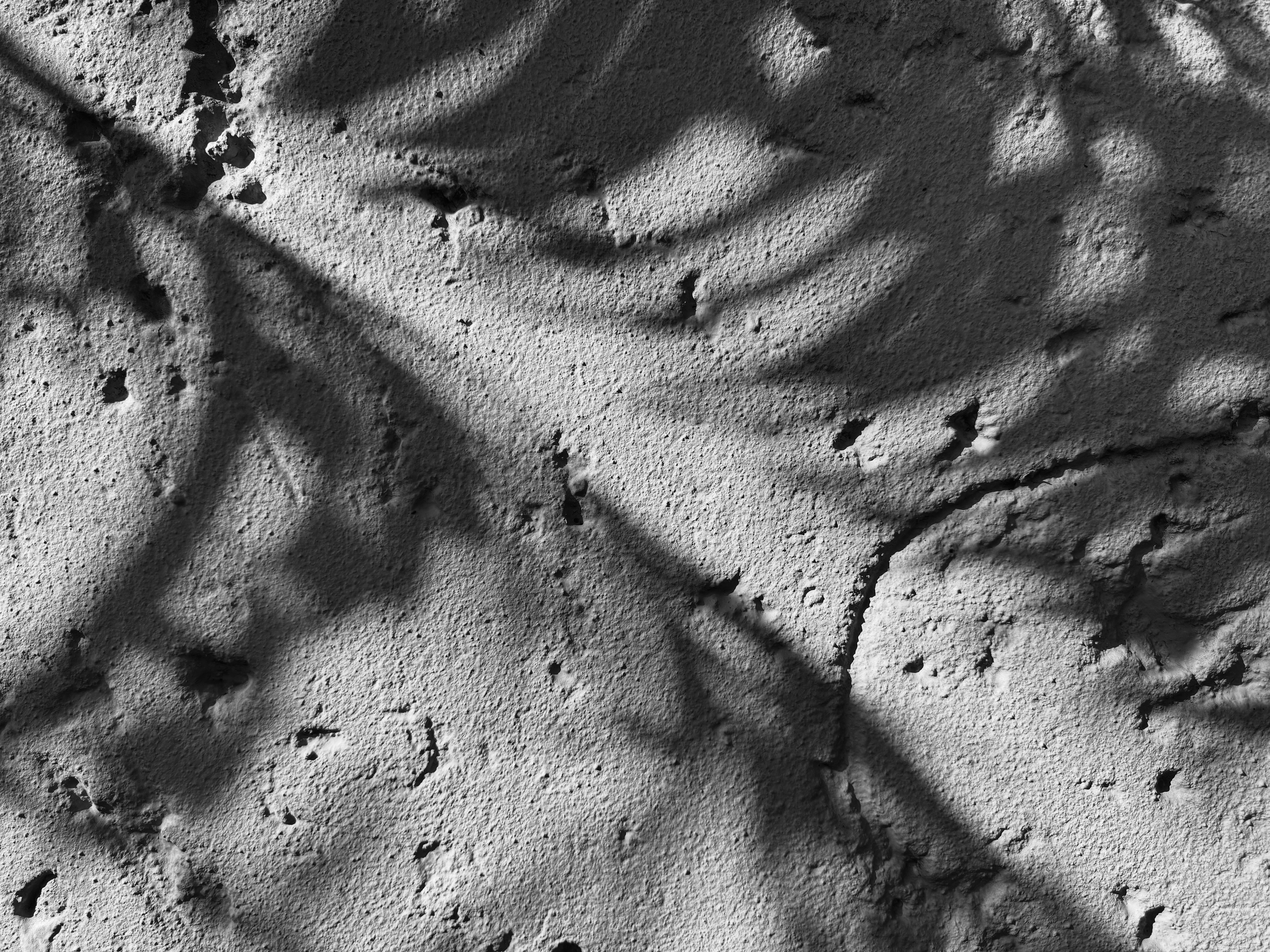 Photo by jonathanburger