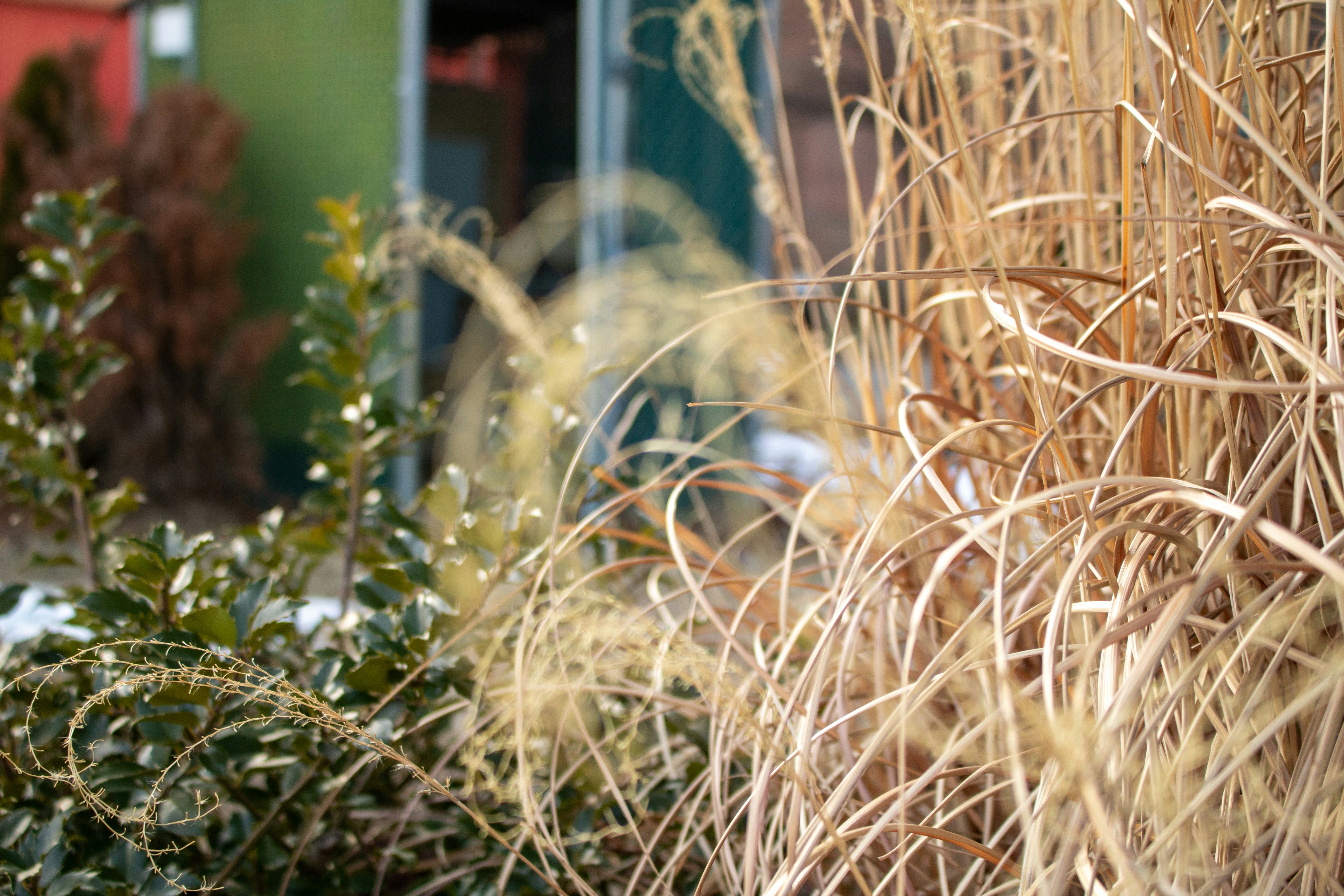 Photo by zoshuacolah