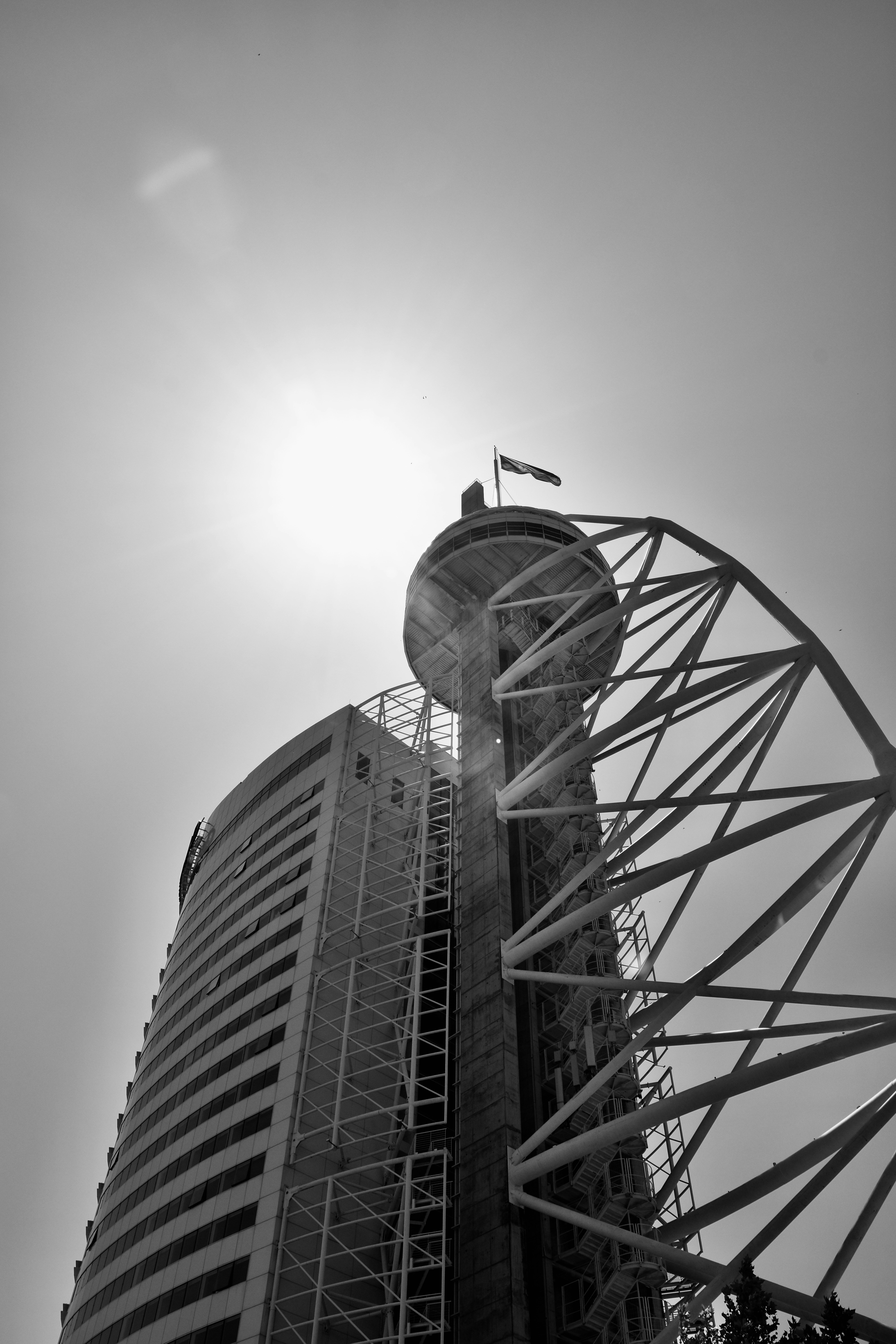 Photo by binogrepolian