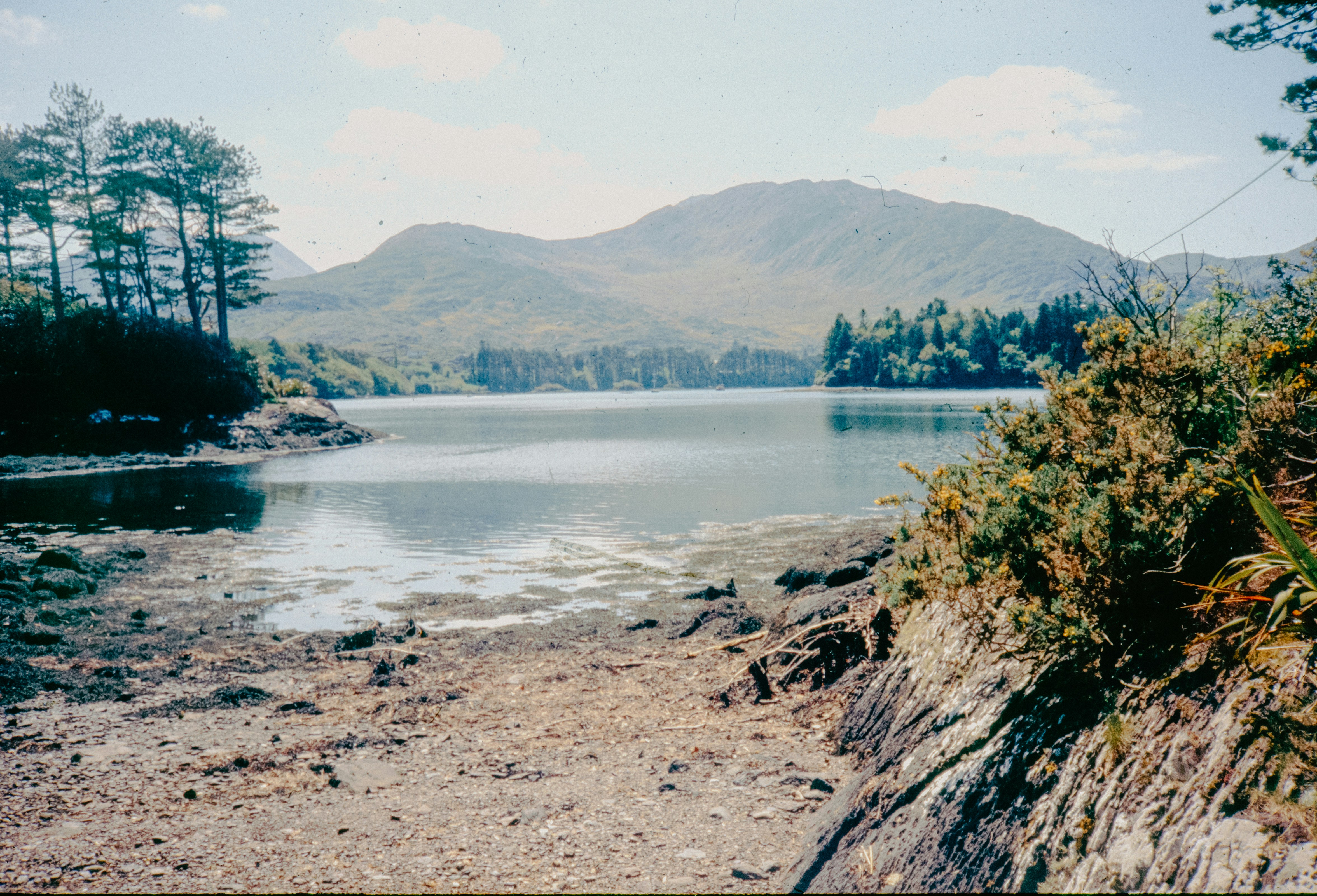 Photo by anniespratt