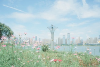 Flowers bloom with a city skyline in the background.