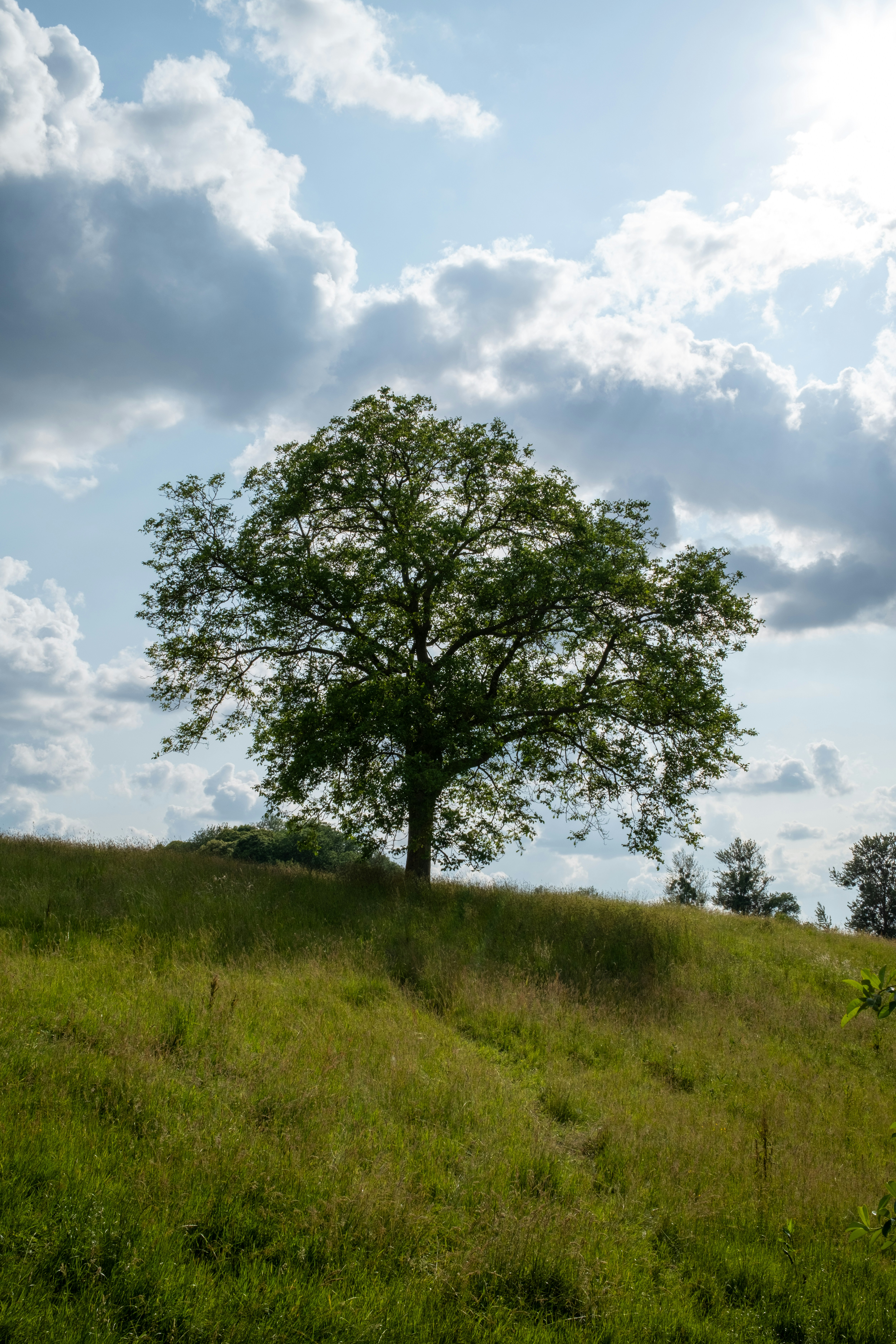 Photo by michaellauwereys