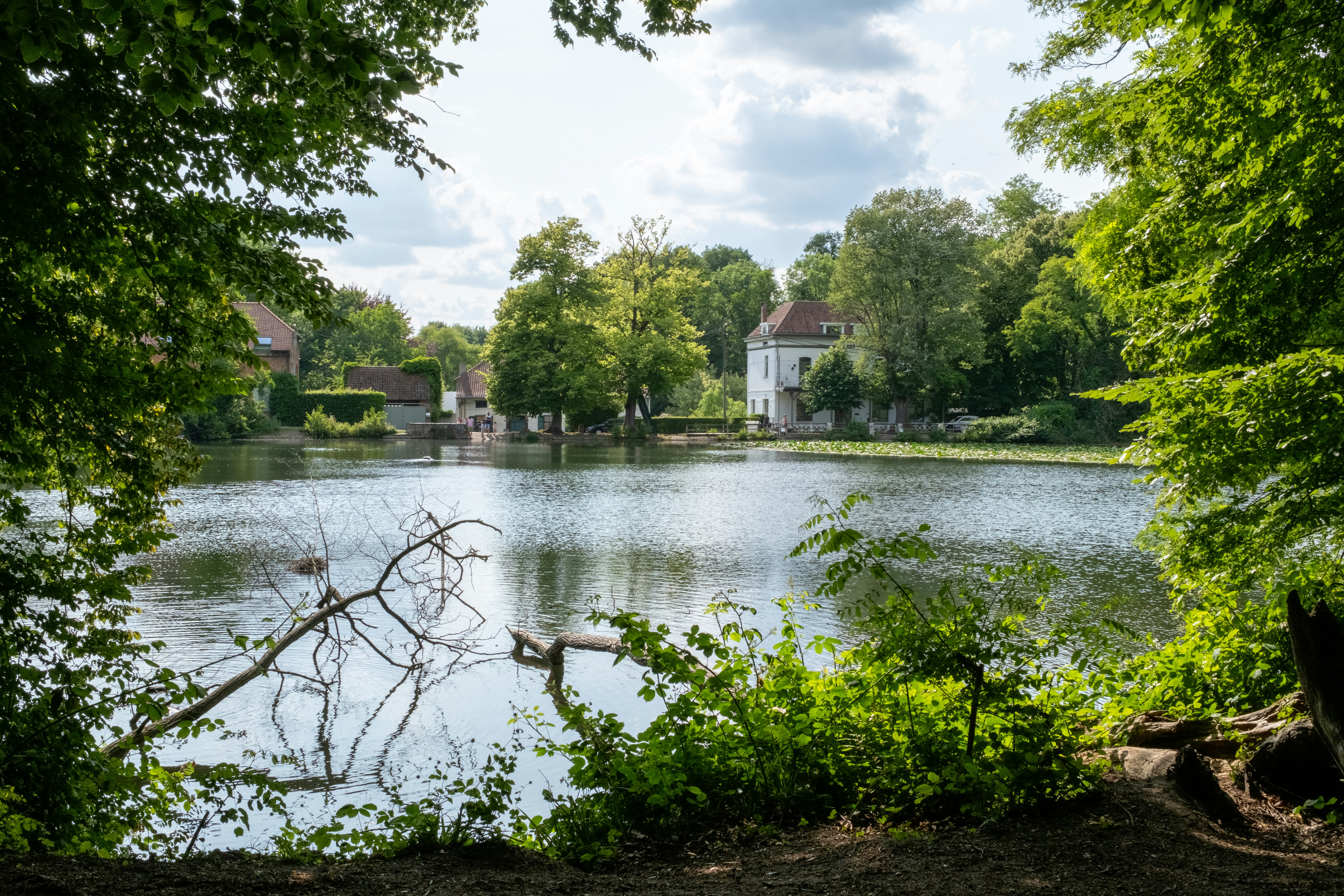 Photo by michaellauwereys