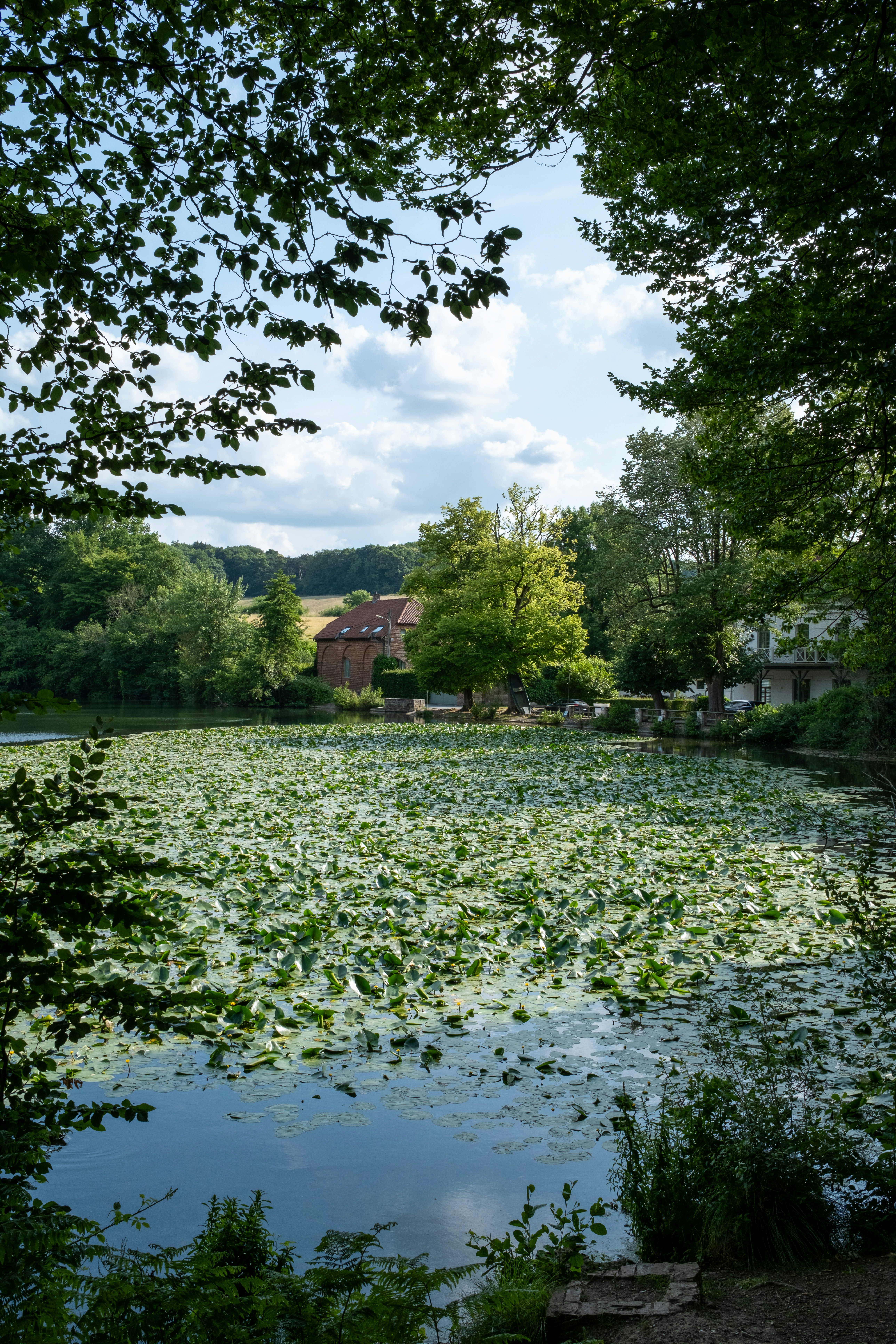 Photo by michaellauwereys