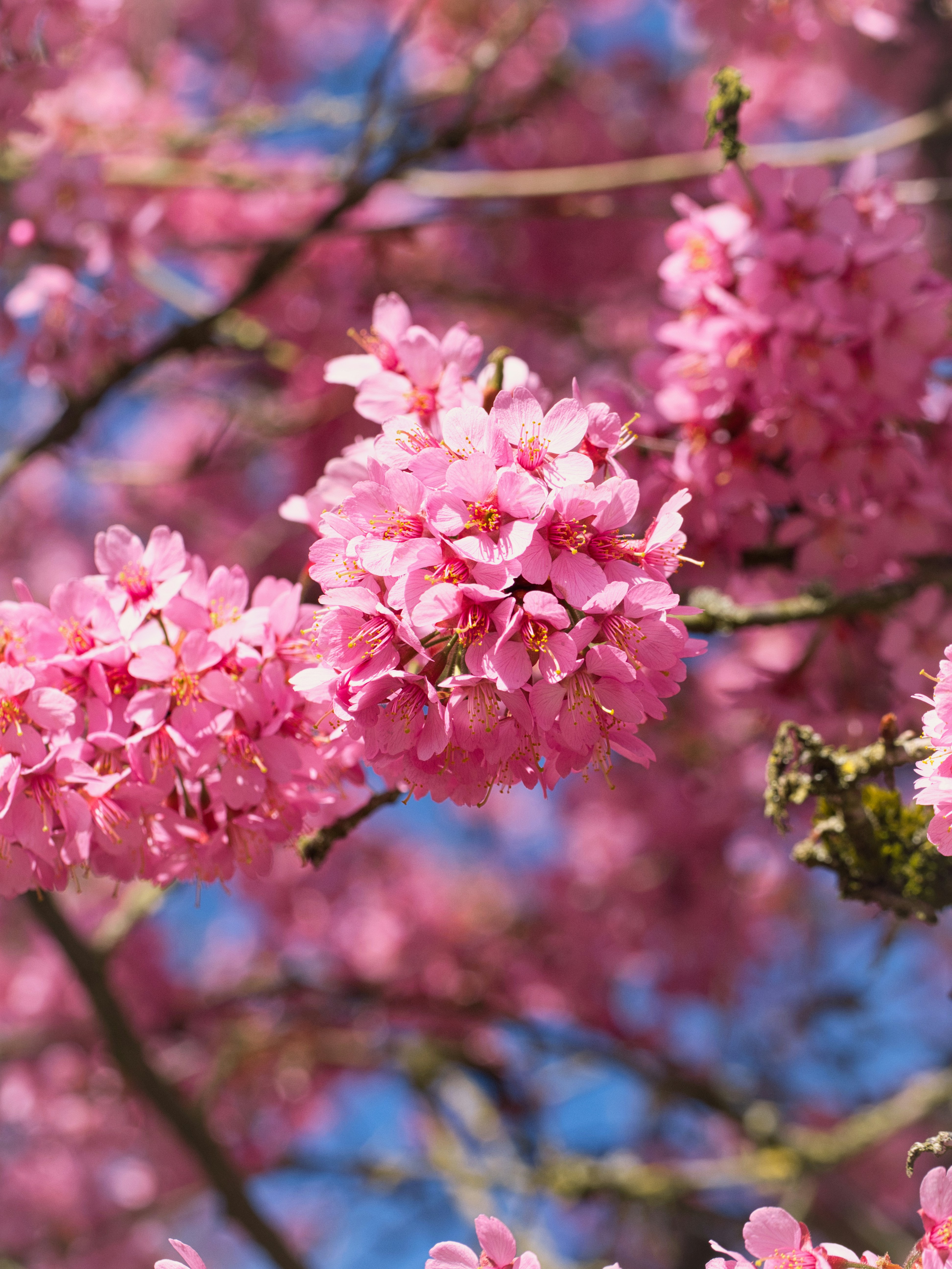 Photo by theskytales