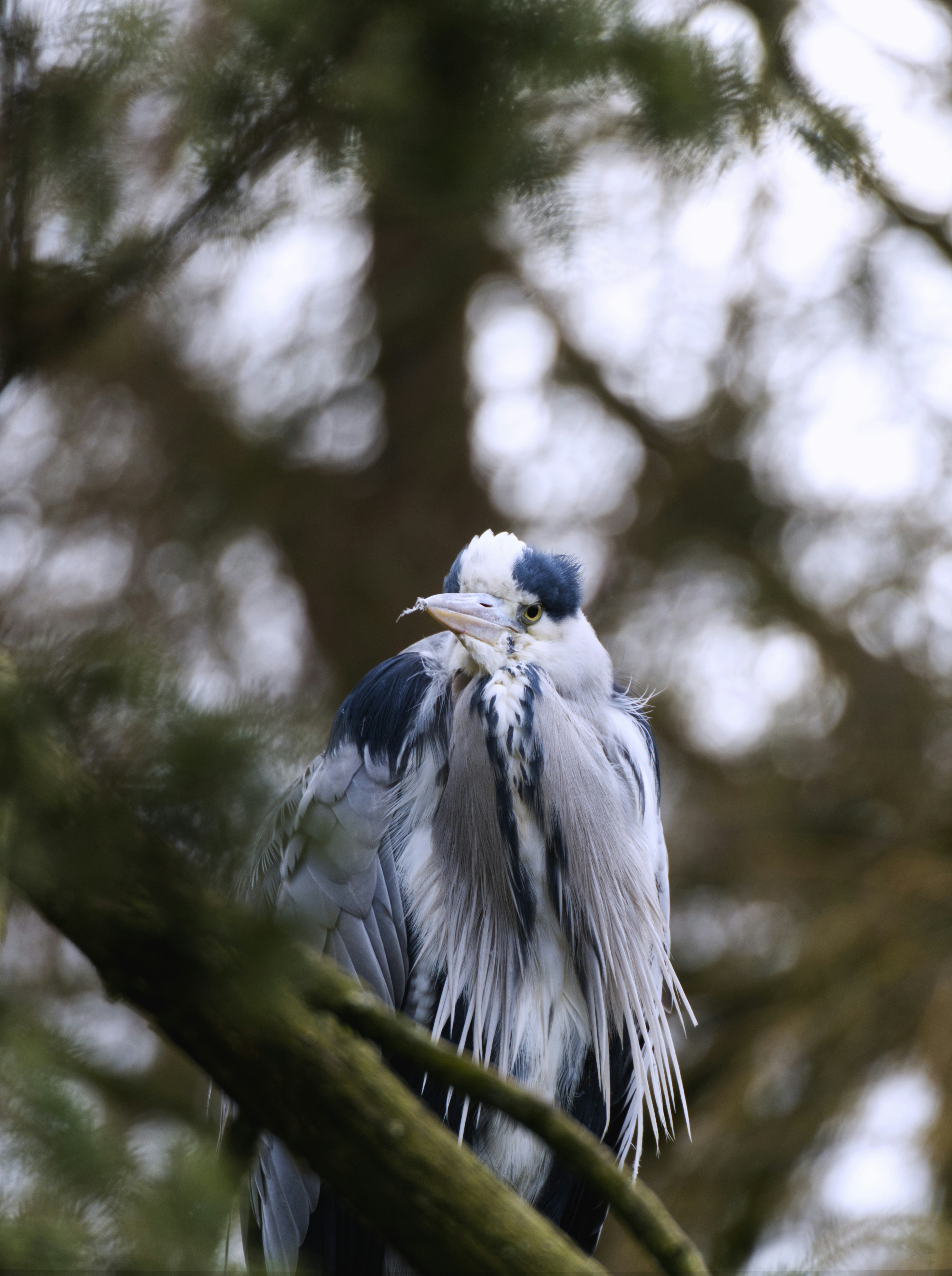 Photo by theskytales