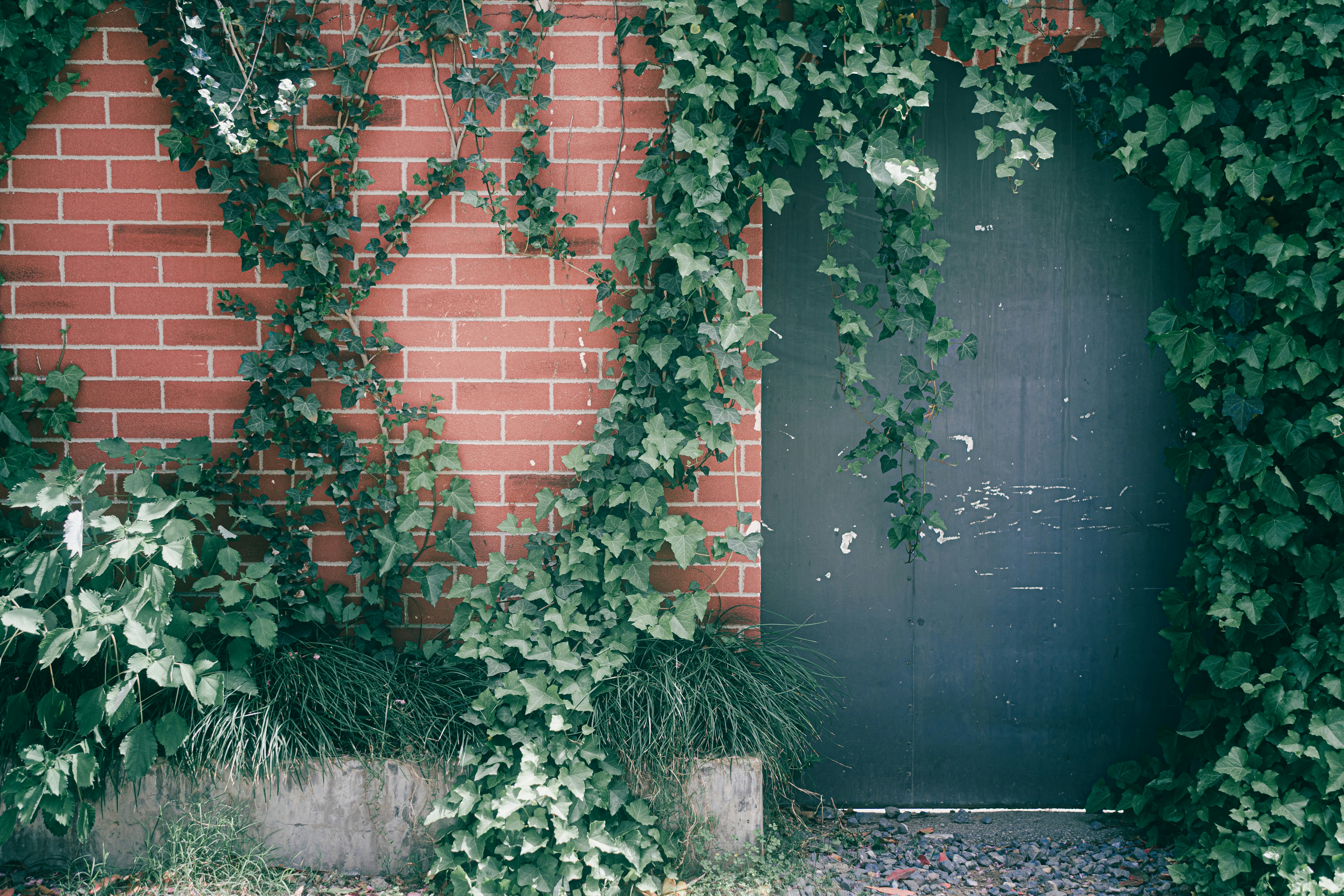 Photo by xiexianghua