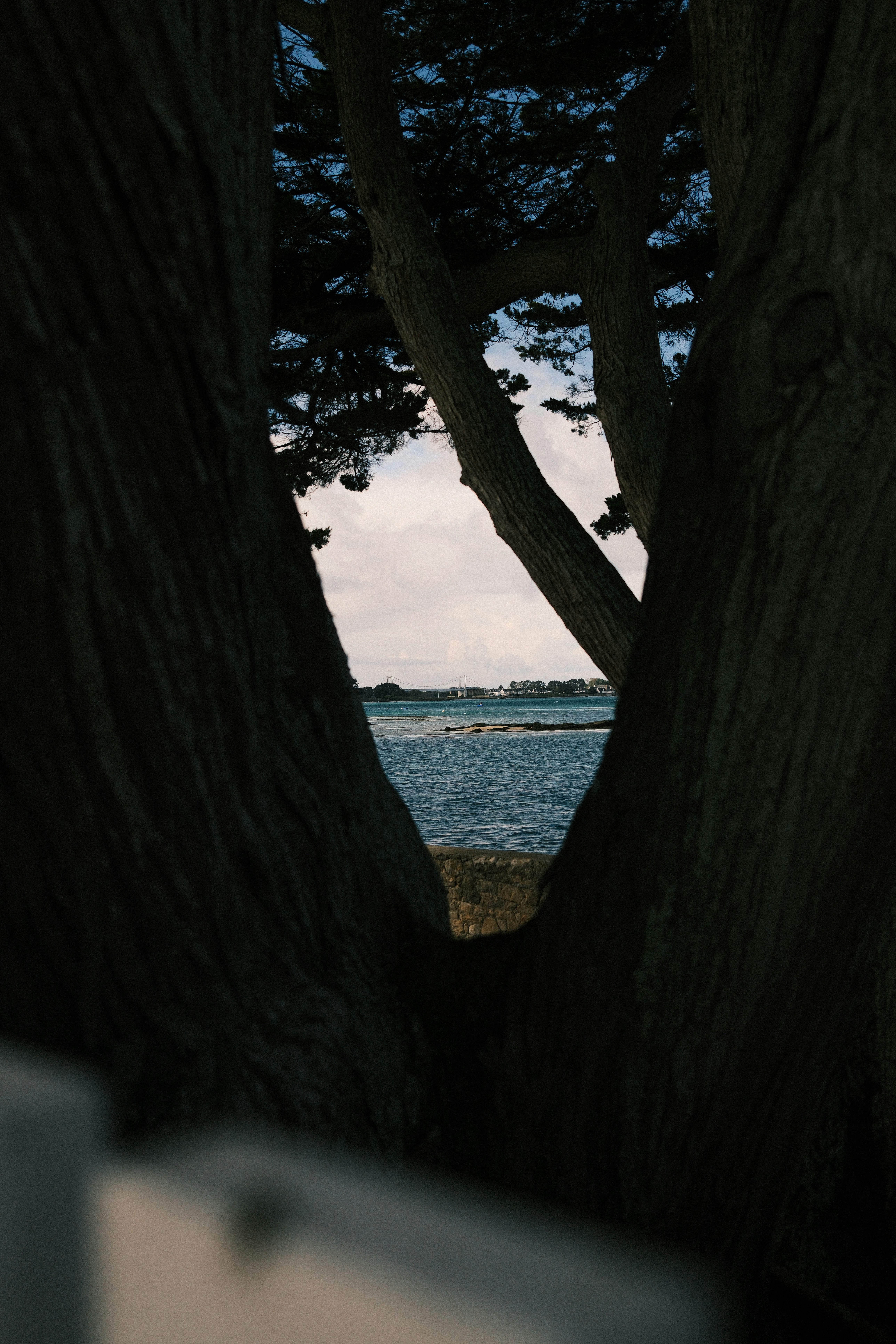 Photo by helloiamtuan