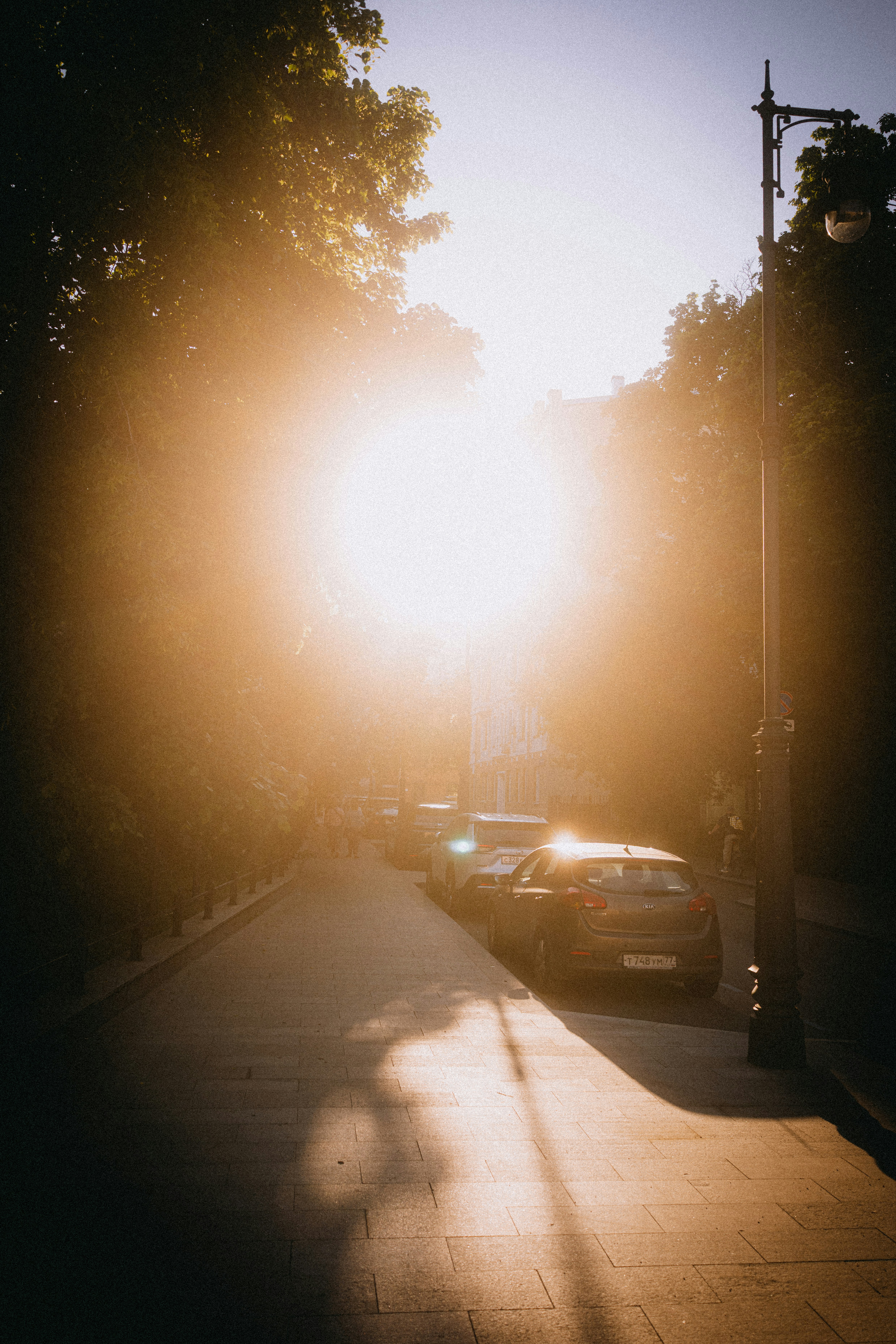 Photo by andreystrizhkov