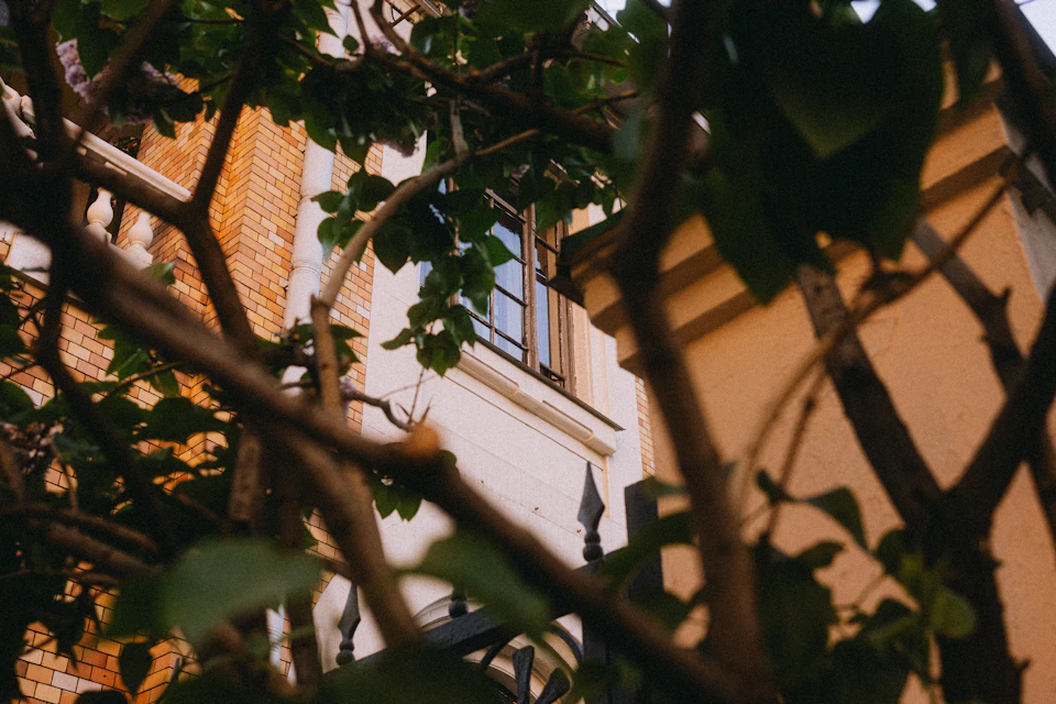 The image shows a close-up view of a white building with orange bricks, partially obscured by lush green leaves and branches. The perspective is from below, looking up at the building's facade. A black wrought iron gate can be seen in front of the building, adding an element of architectural interest to the scene.