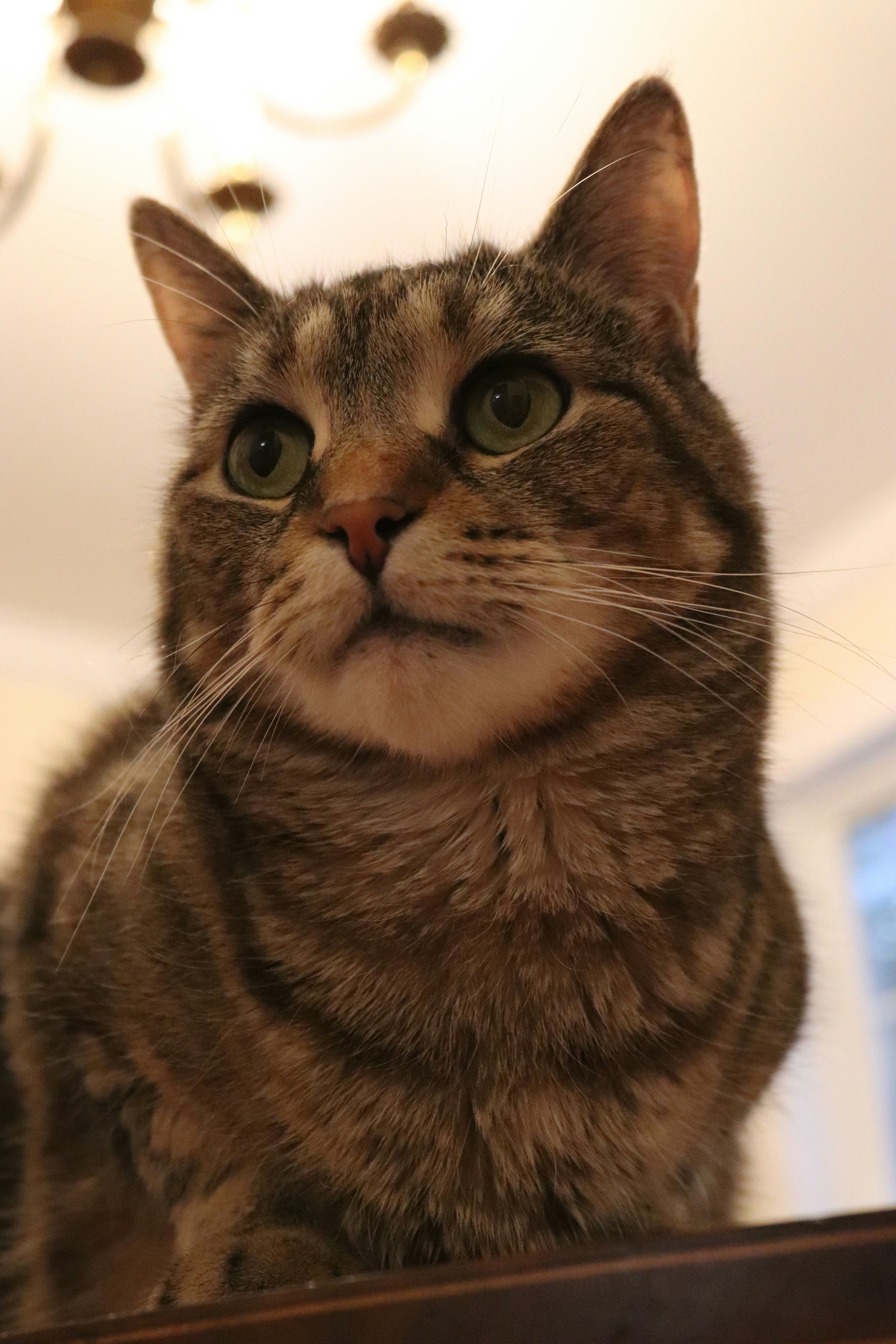 Photo by eh_pictures