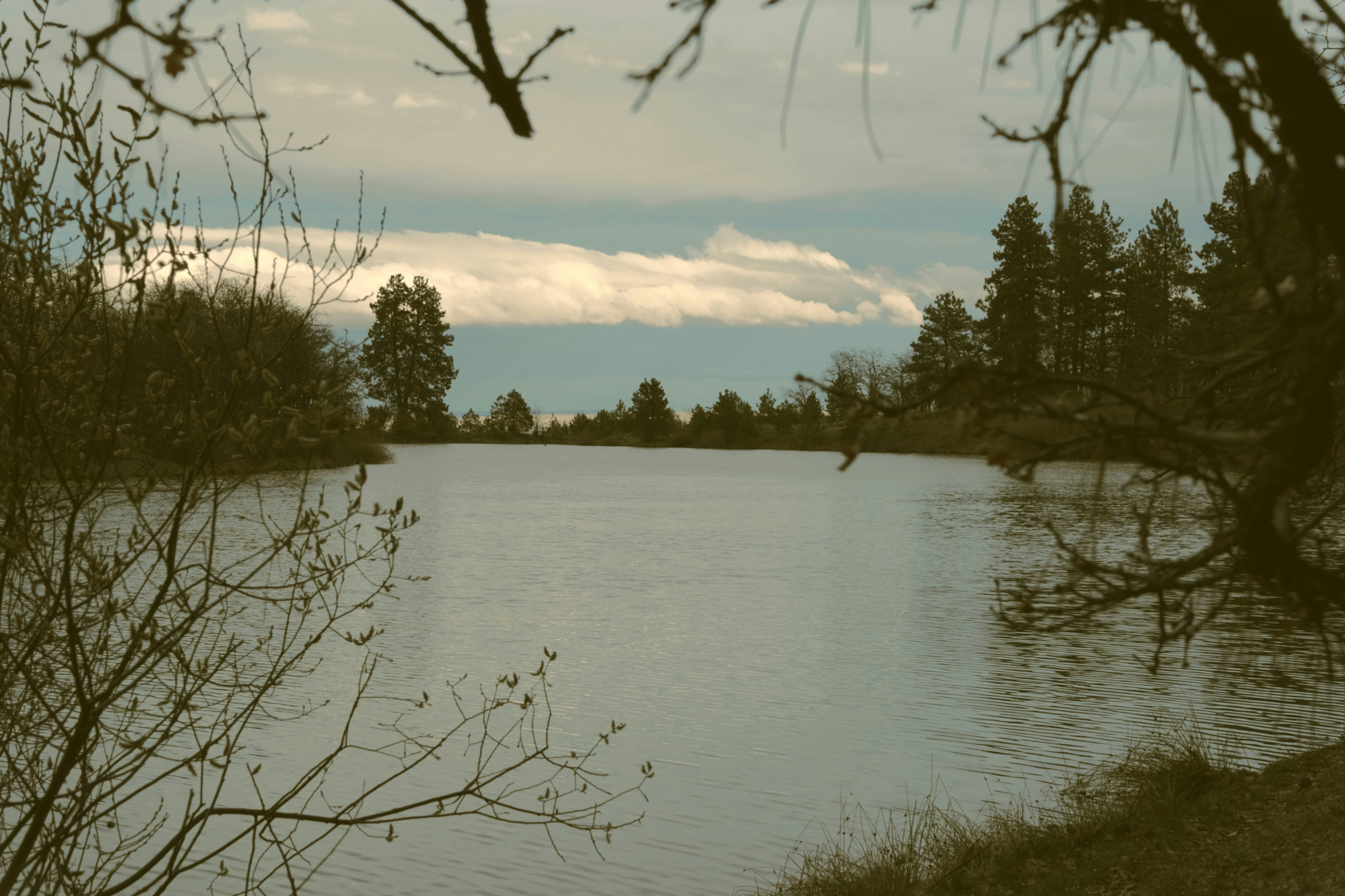 A serene lake underneath a cloudy sky.