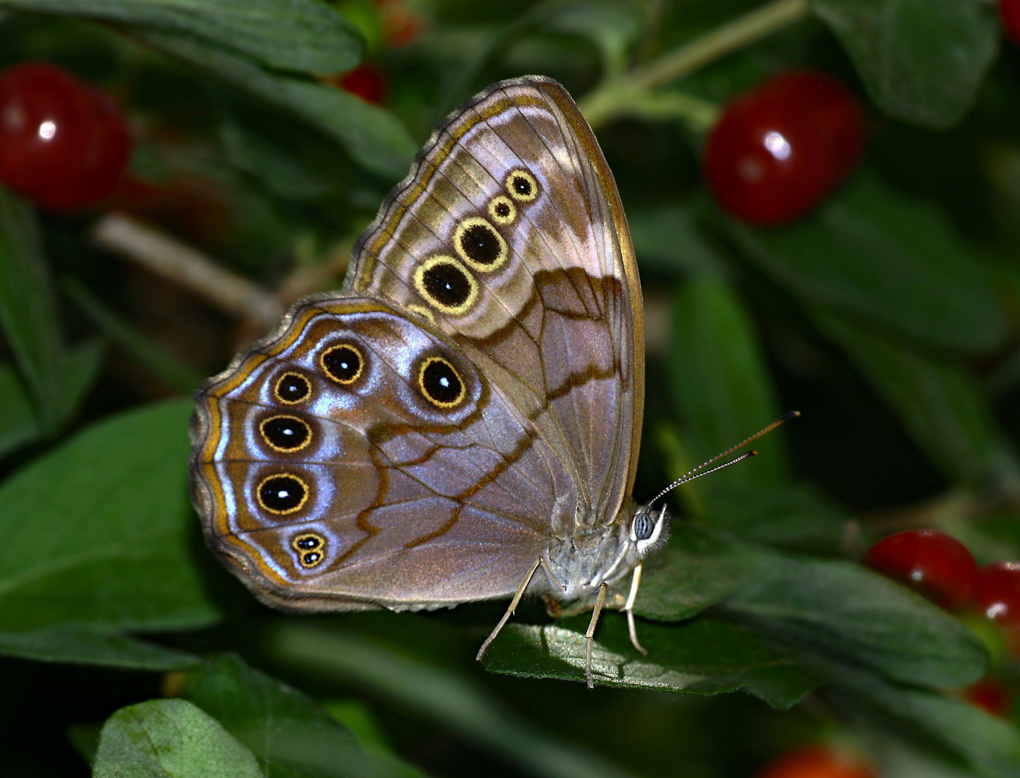 Photo by telliottmbamsc