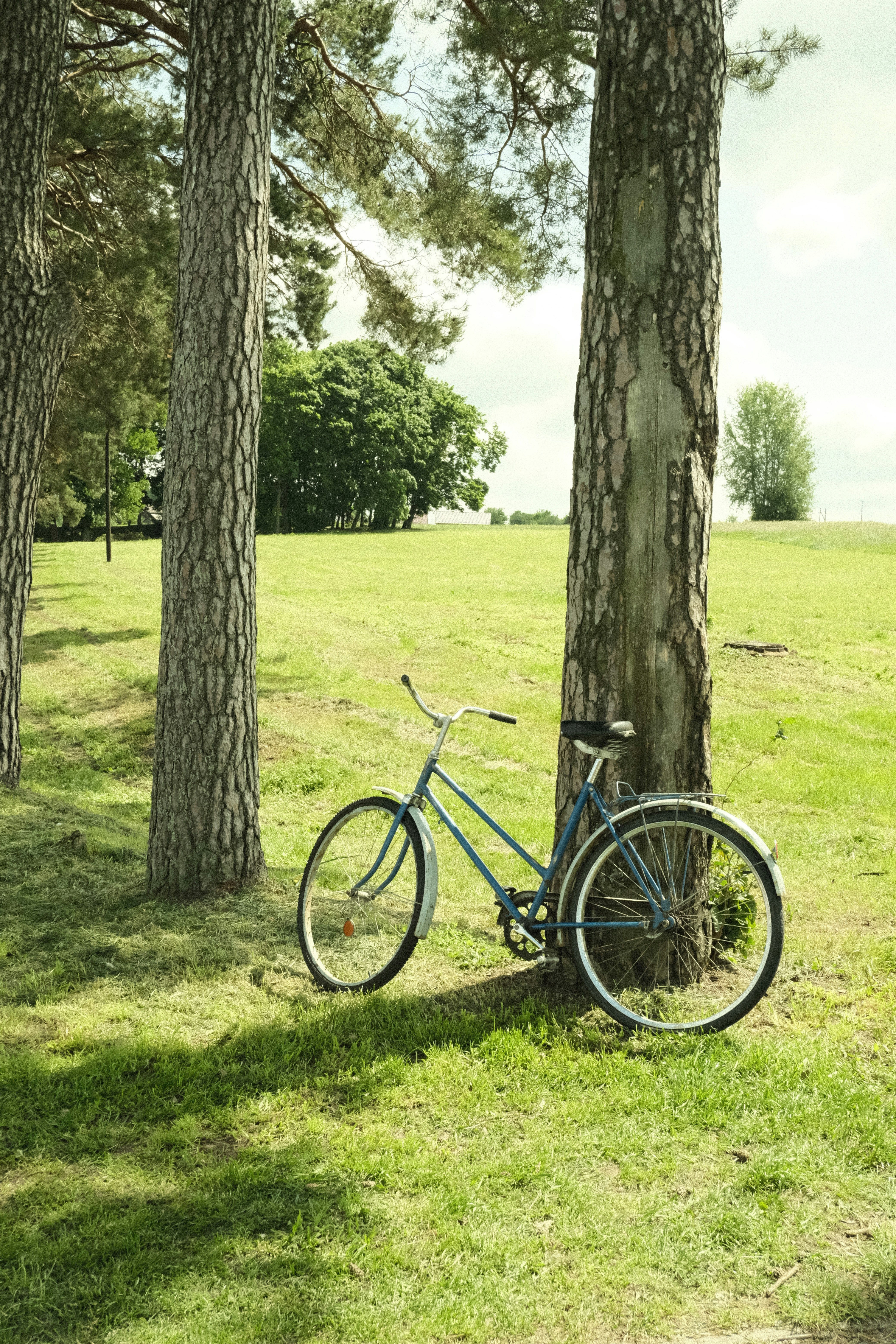 Photo by tatianarudneva