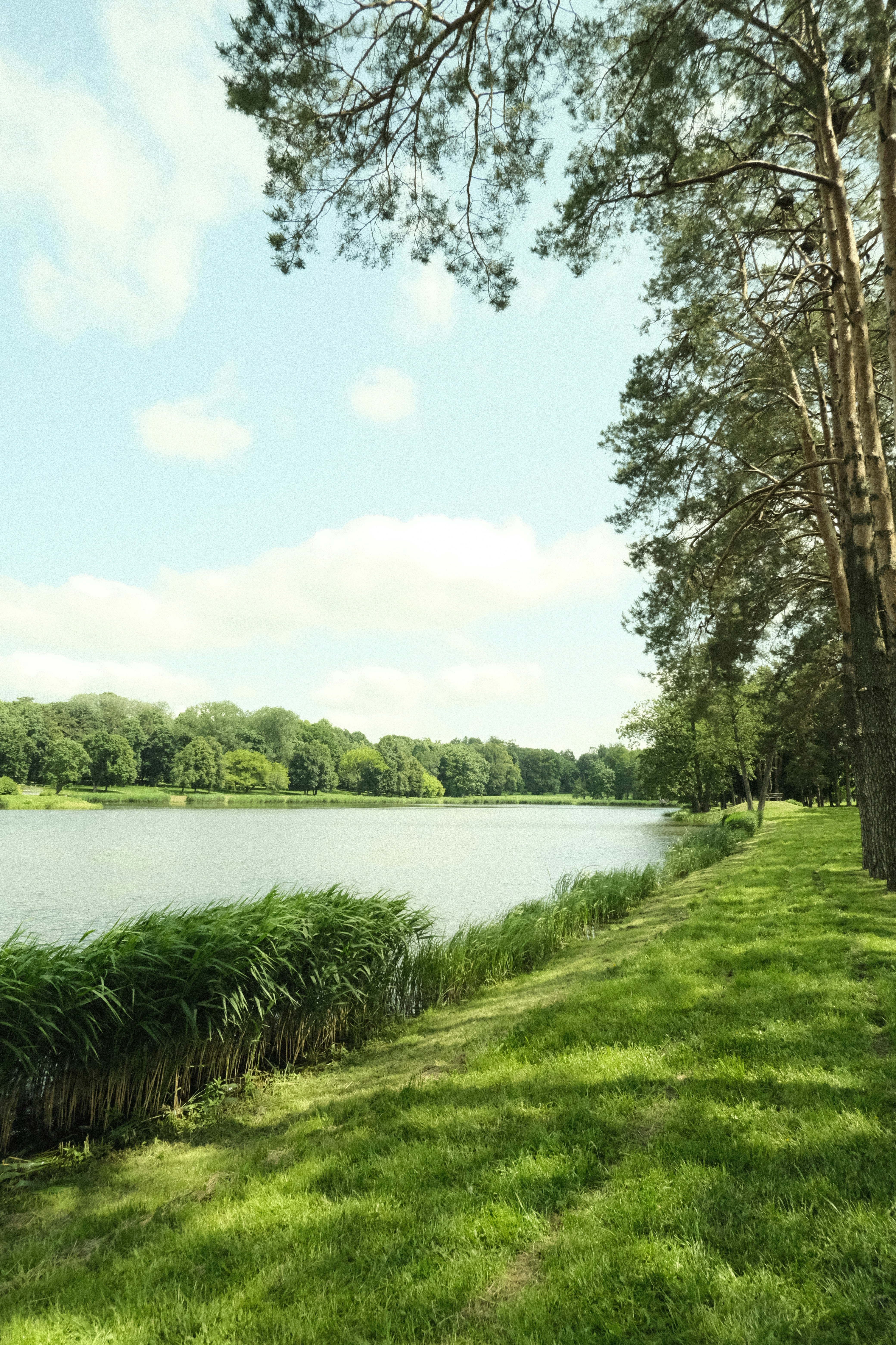 Photo by tatianarudneva