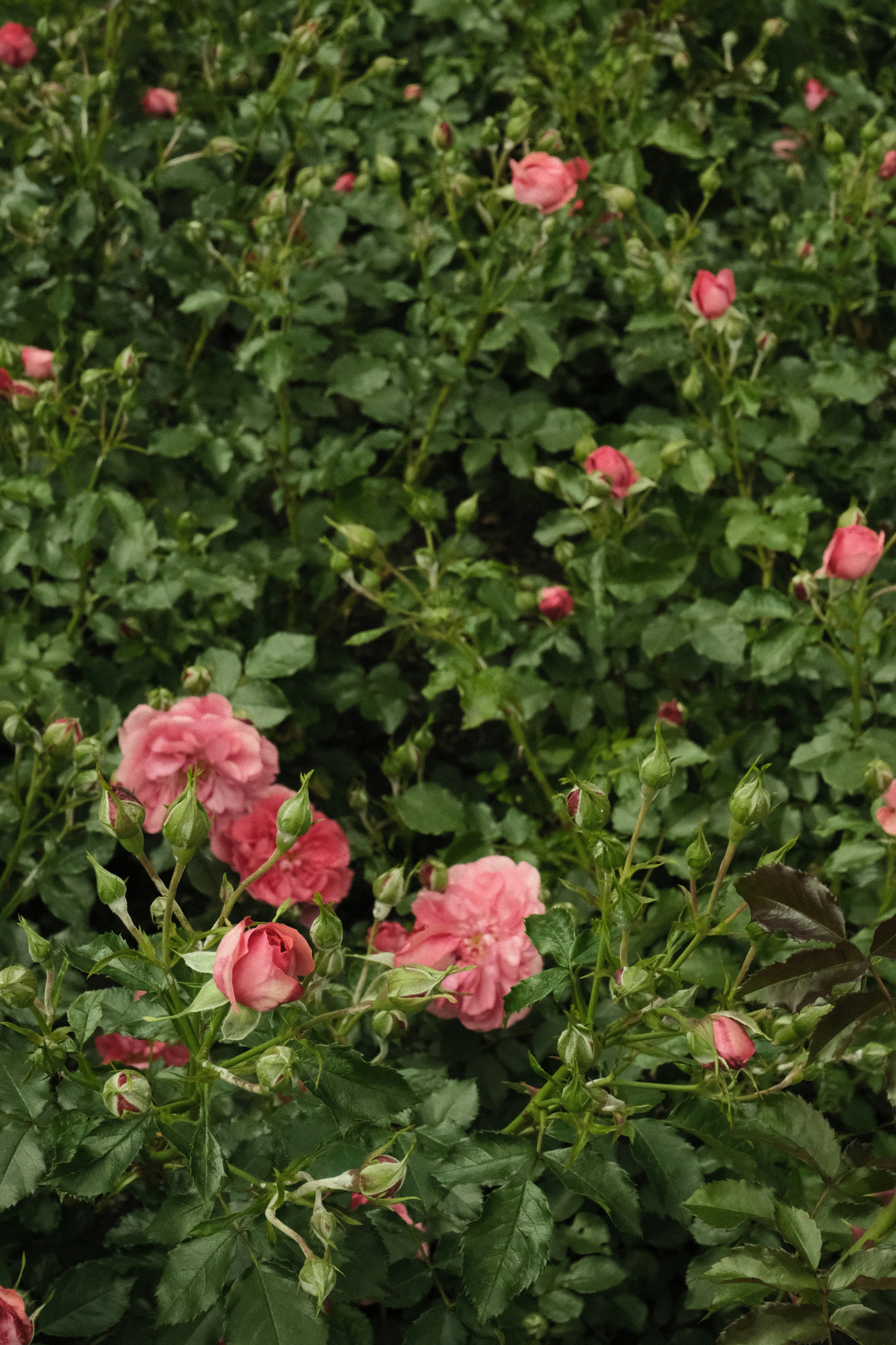 Photo by tatianarudneva