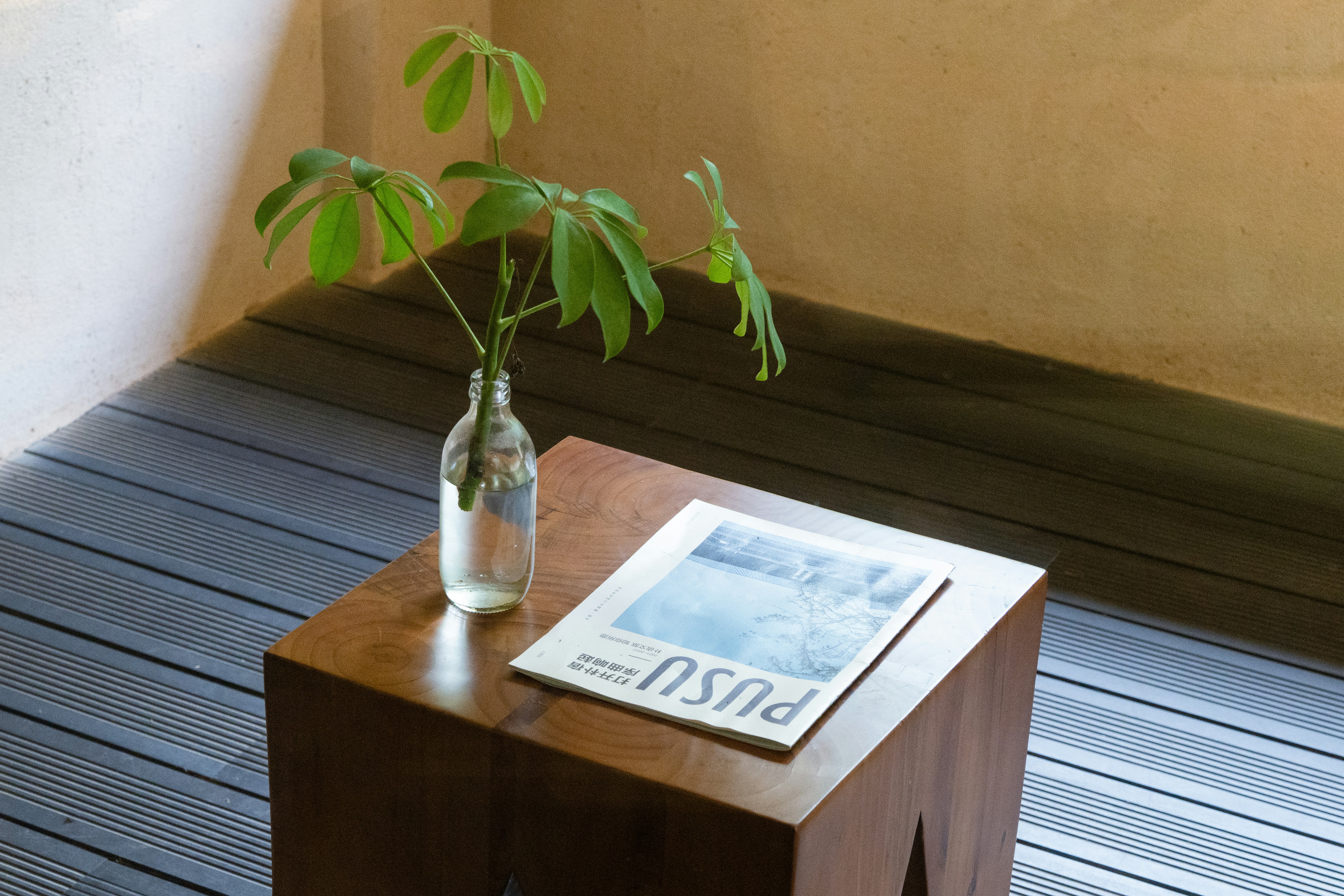 A closed notebook on a desk near a window, soft morning light, feeling of missed opportunity