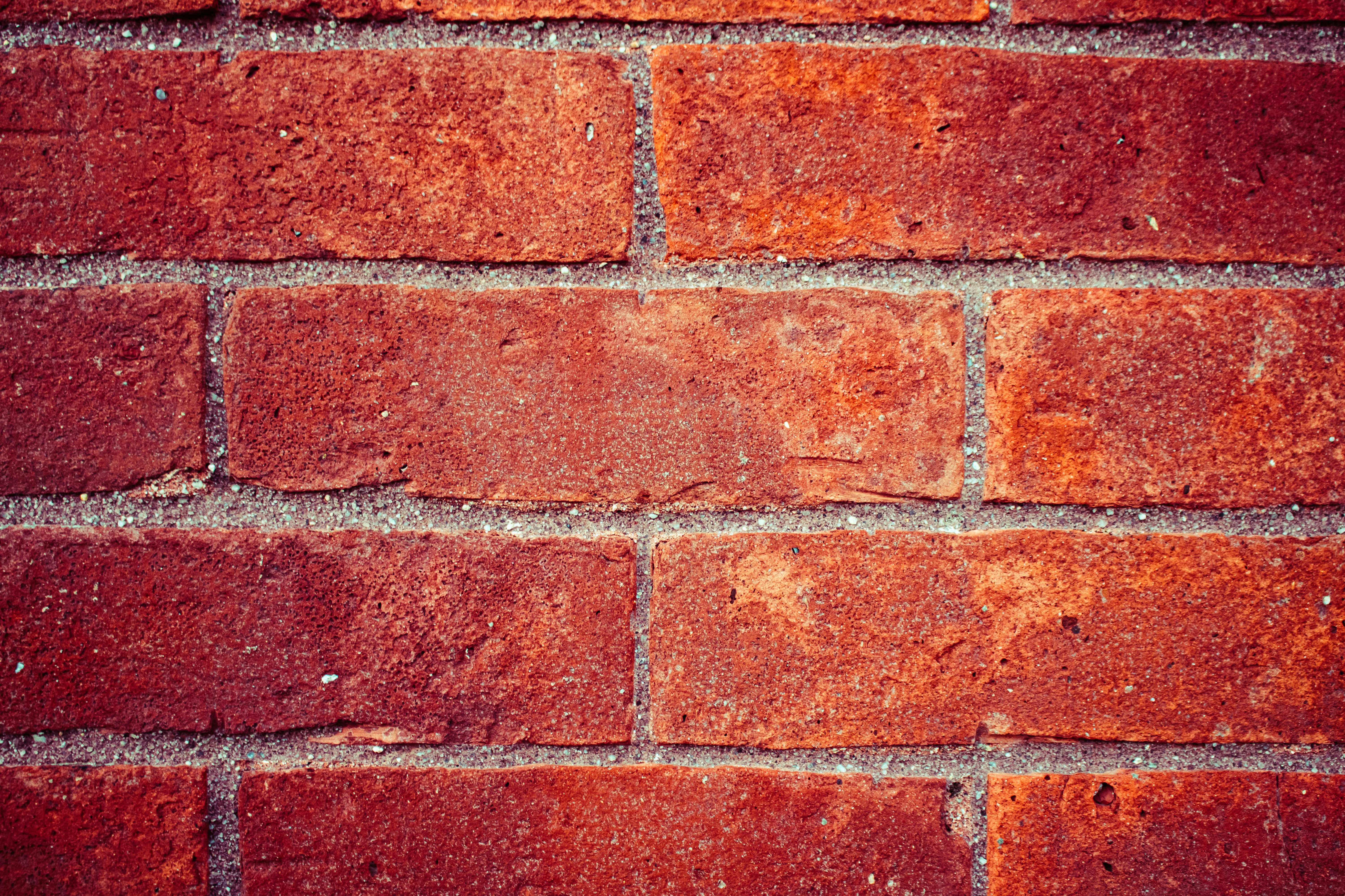 Photo by zoshuacolah