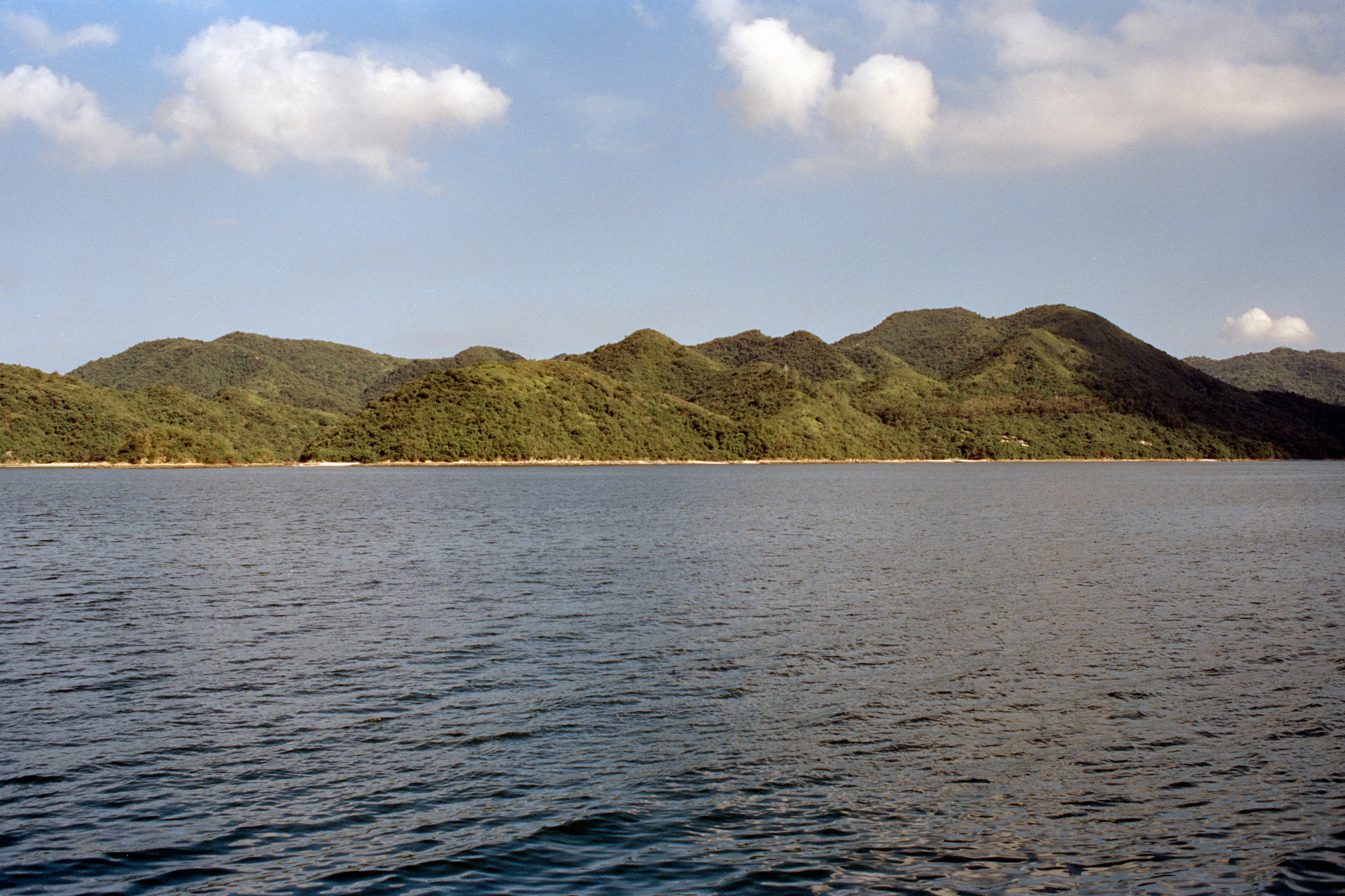 Photo by zhenyao_photo