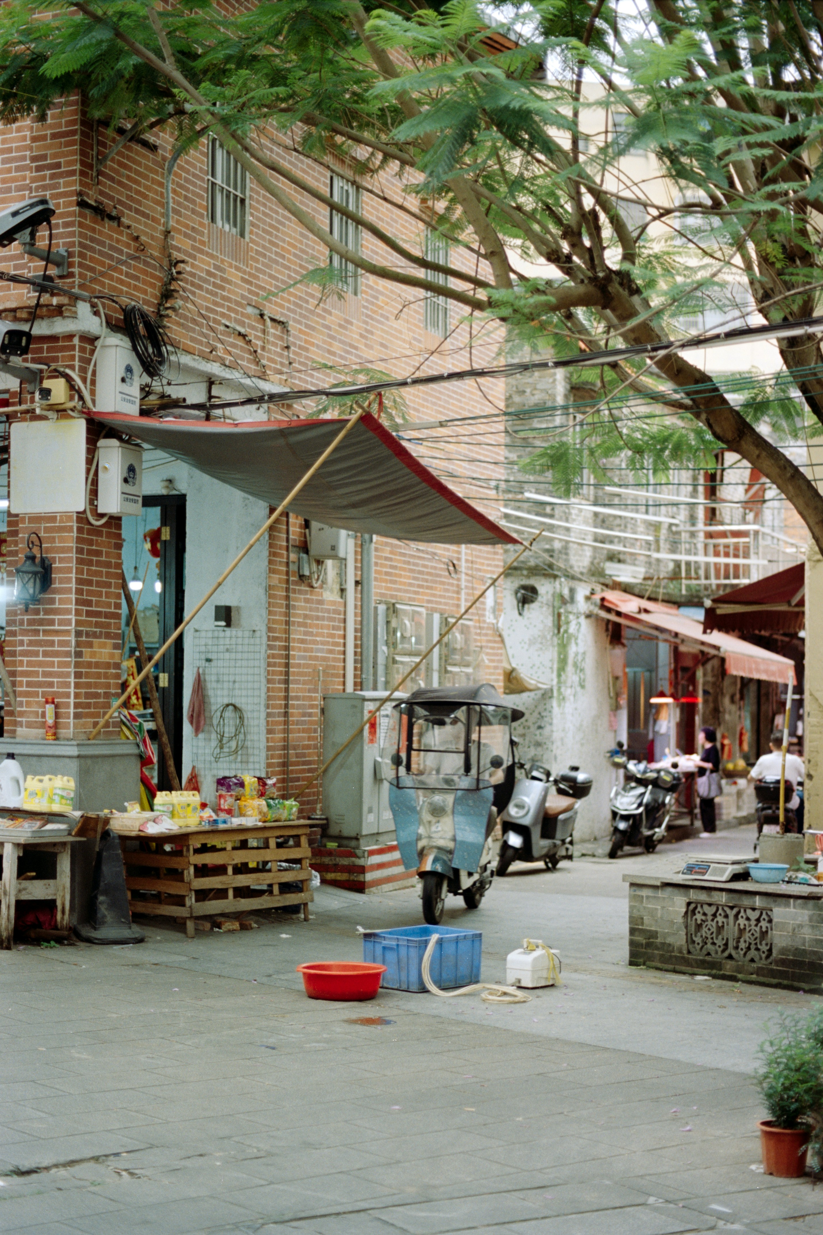 Photo by zhenyao_photo