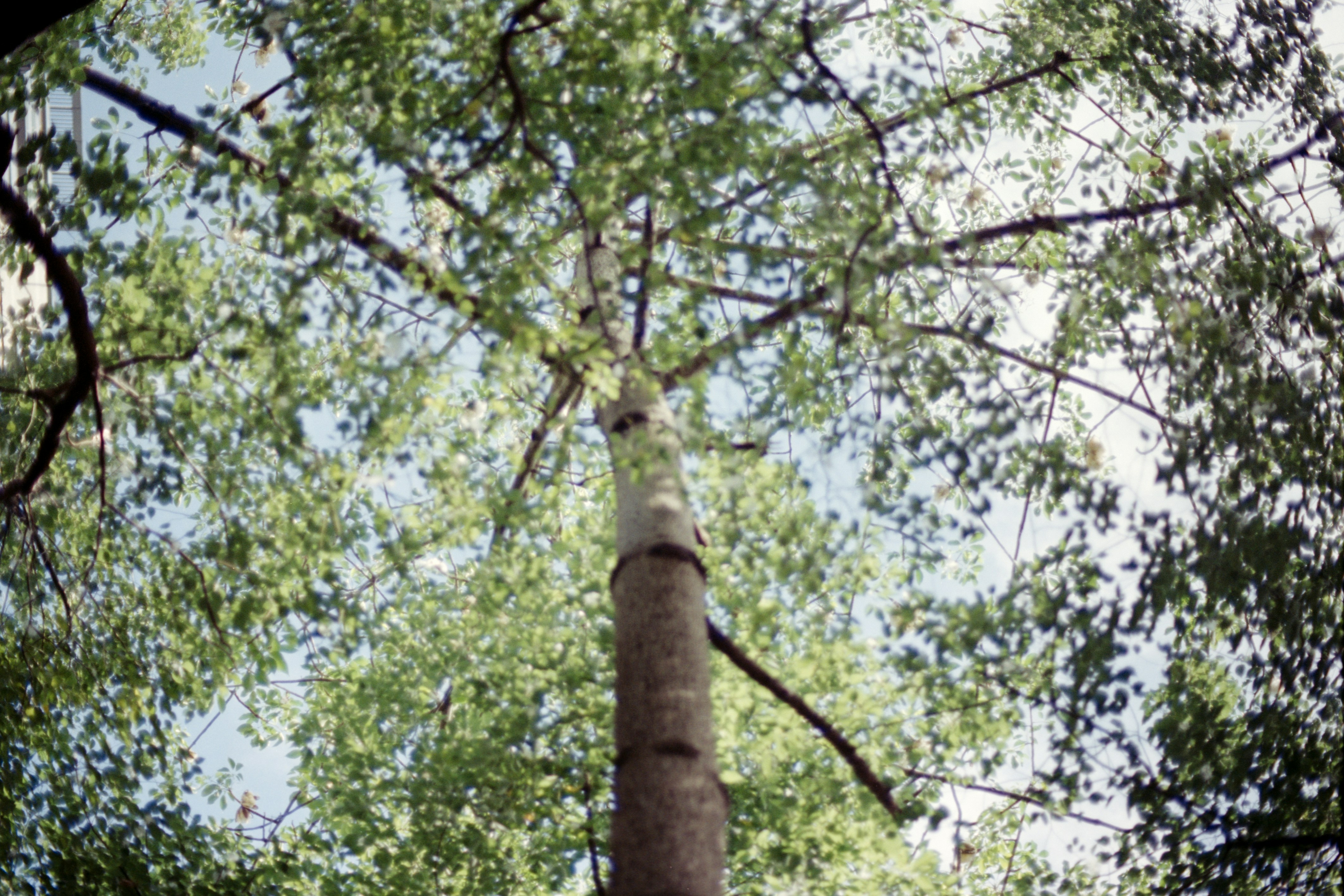 Photo by zhenyao_photo