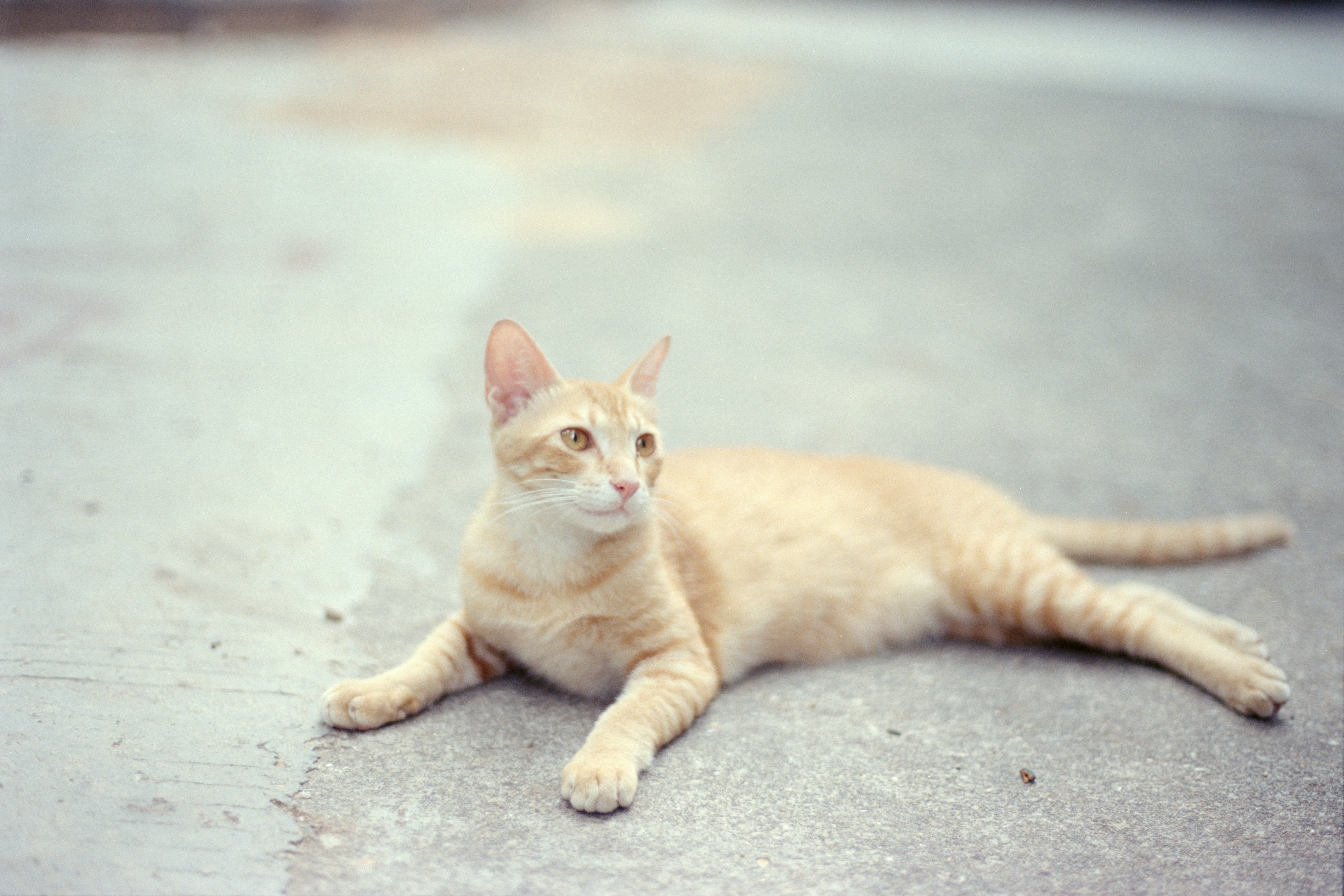 Photo by zhenyao_photo