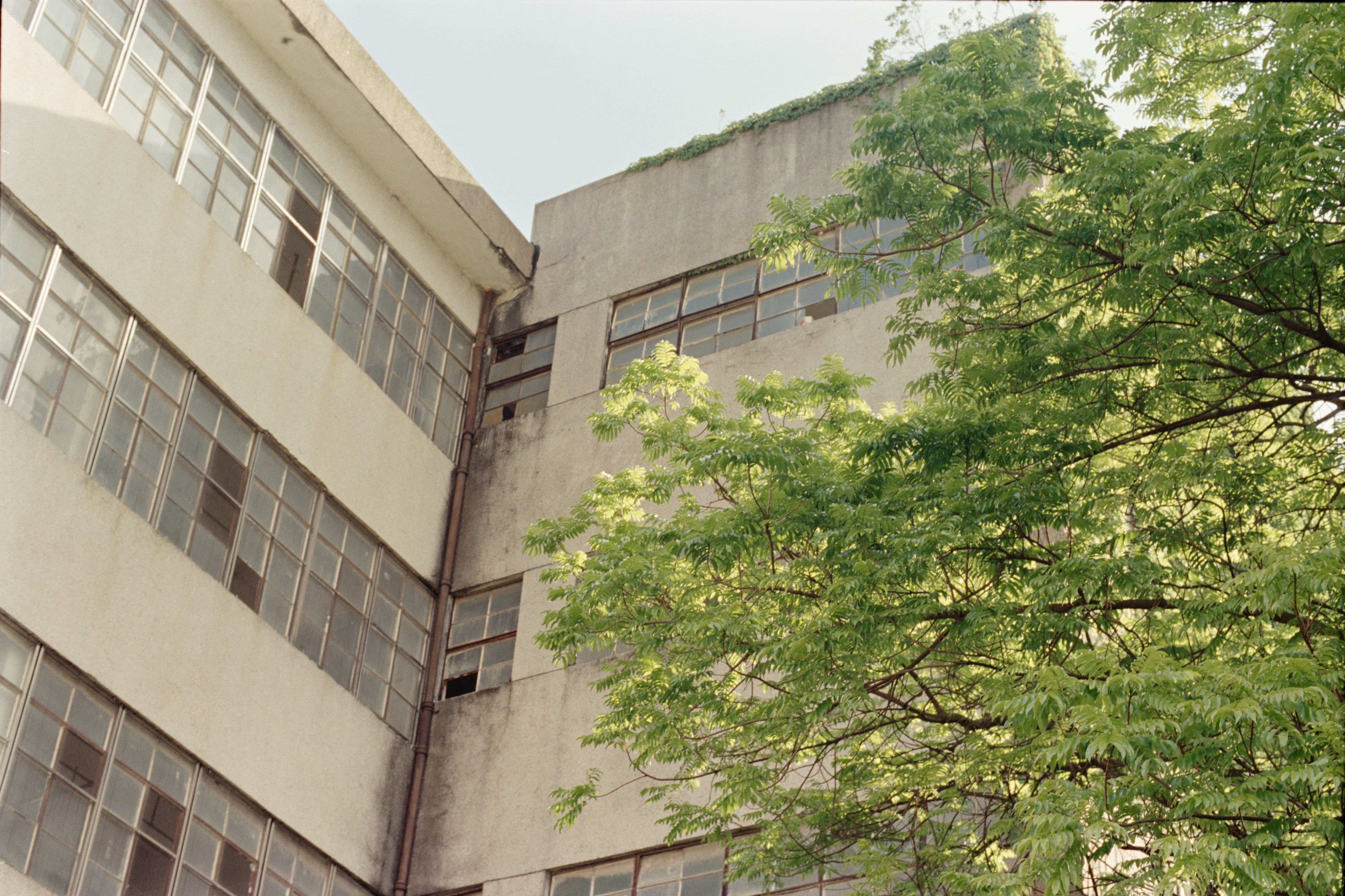 Photo by zhenyao_photo