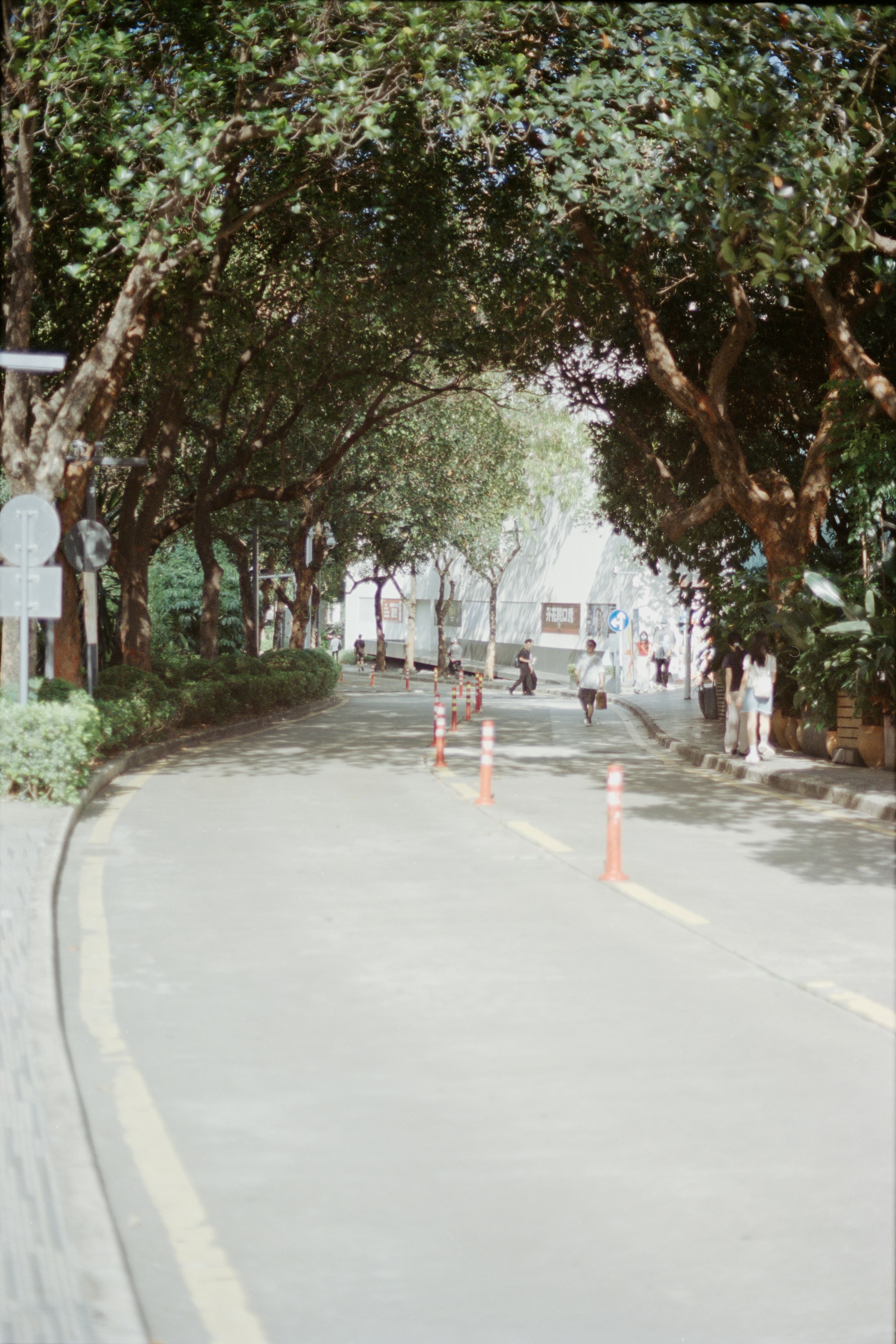 Photo by zhenyao_photo