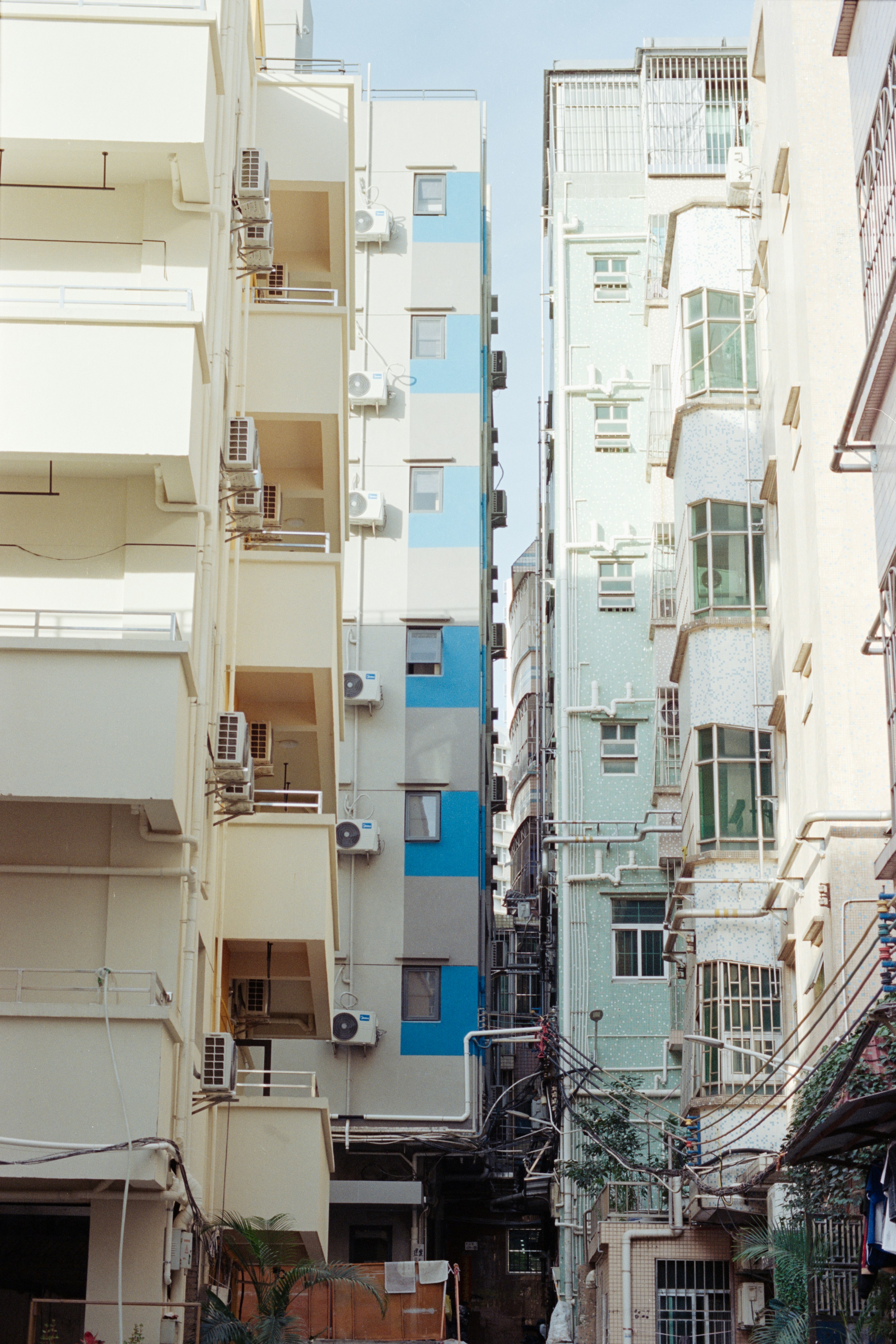 Photo by zhenyao_photo