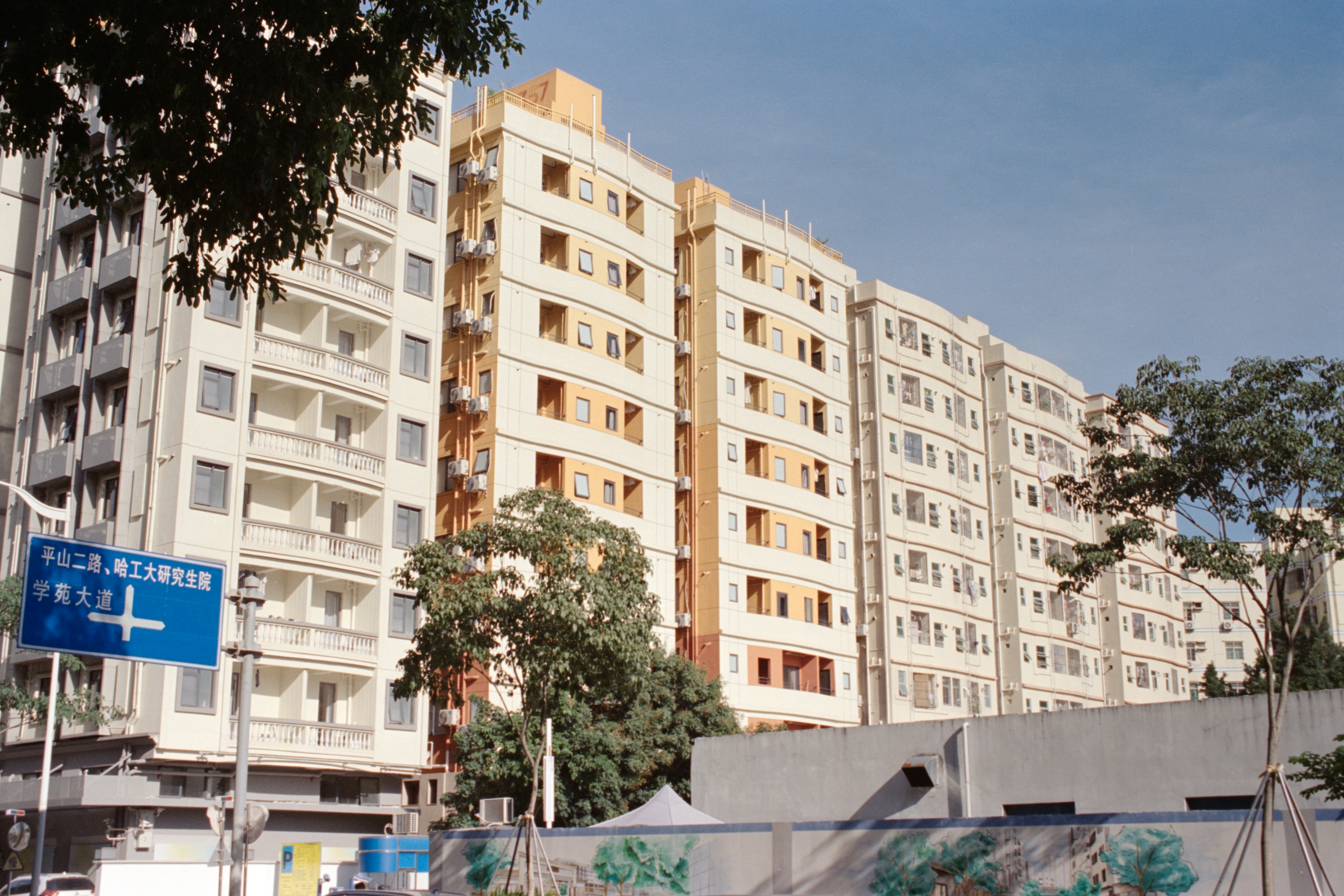 Photo by zhenyao_photo