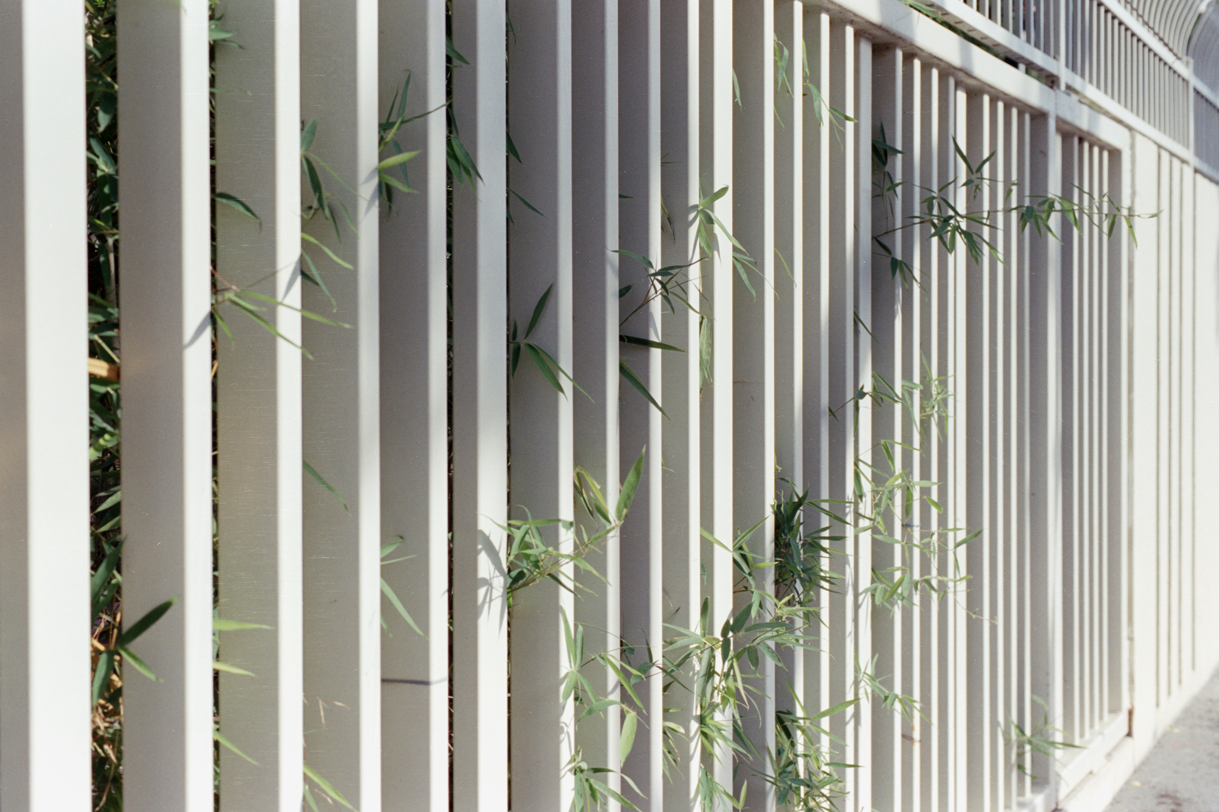 Photo by zhenyao_photo