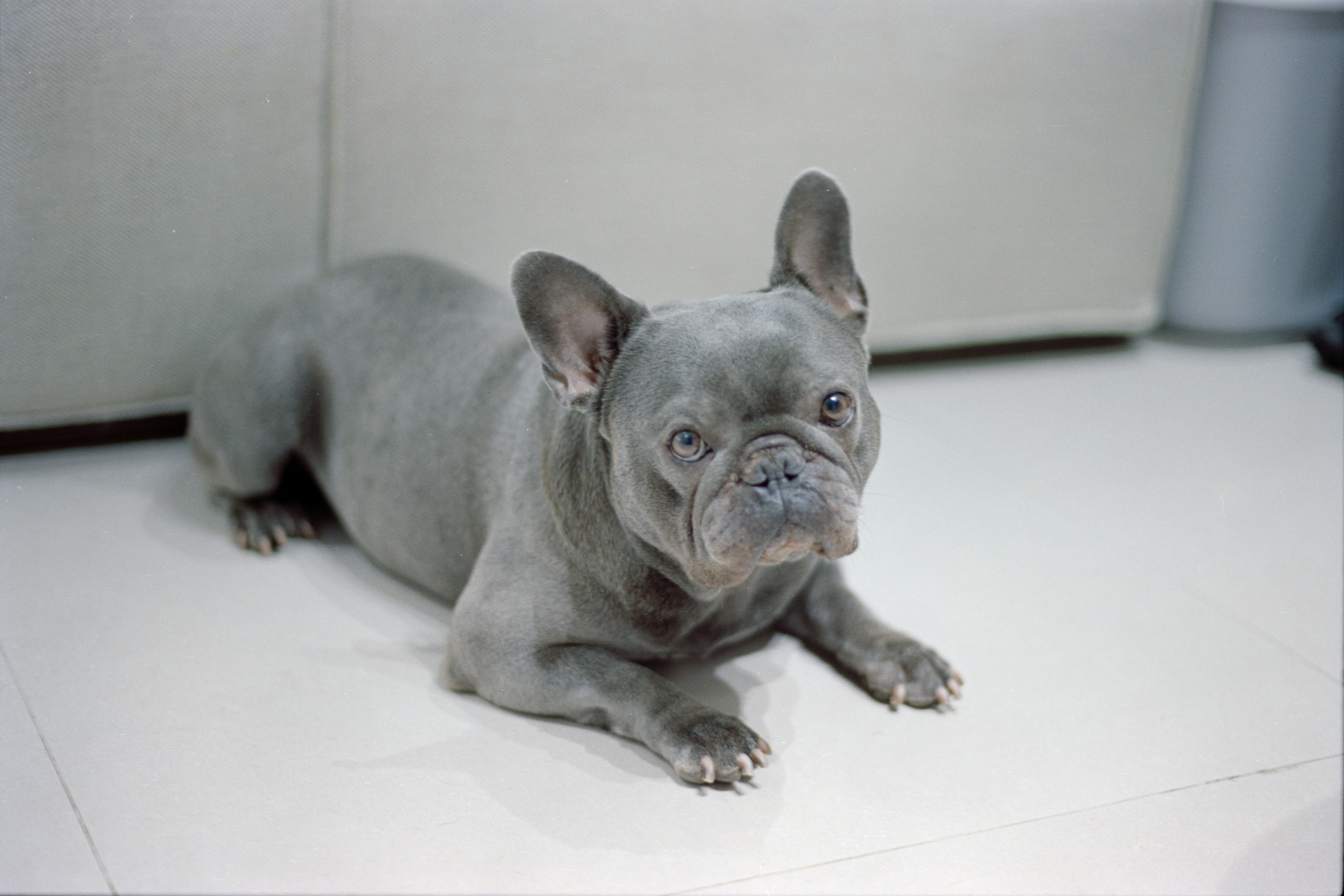 Photo by zhenyao_photo