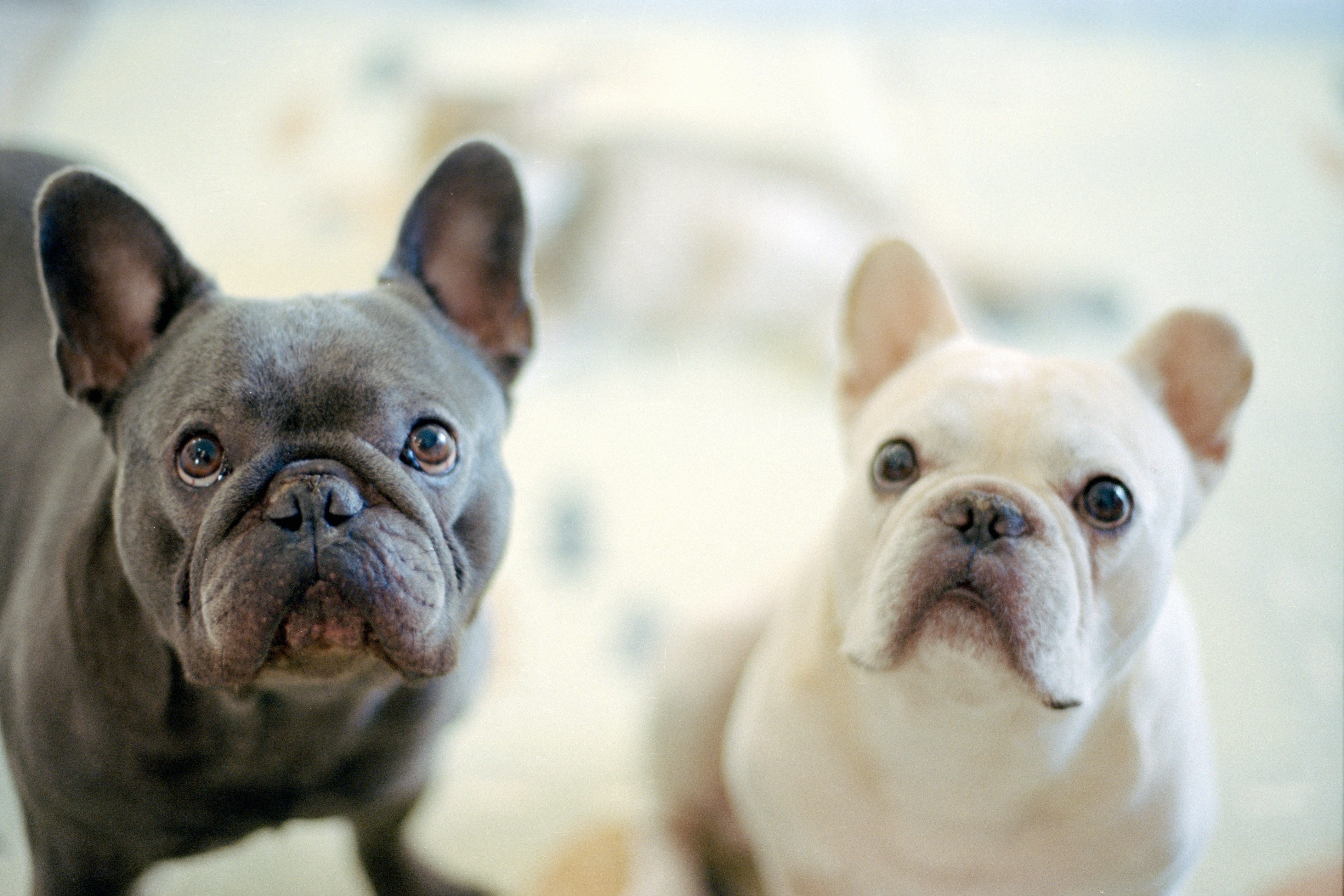 Photo by zhenyao_photo