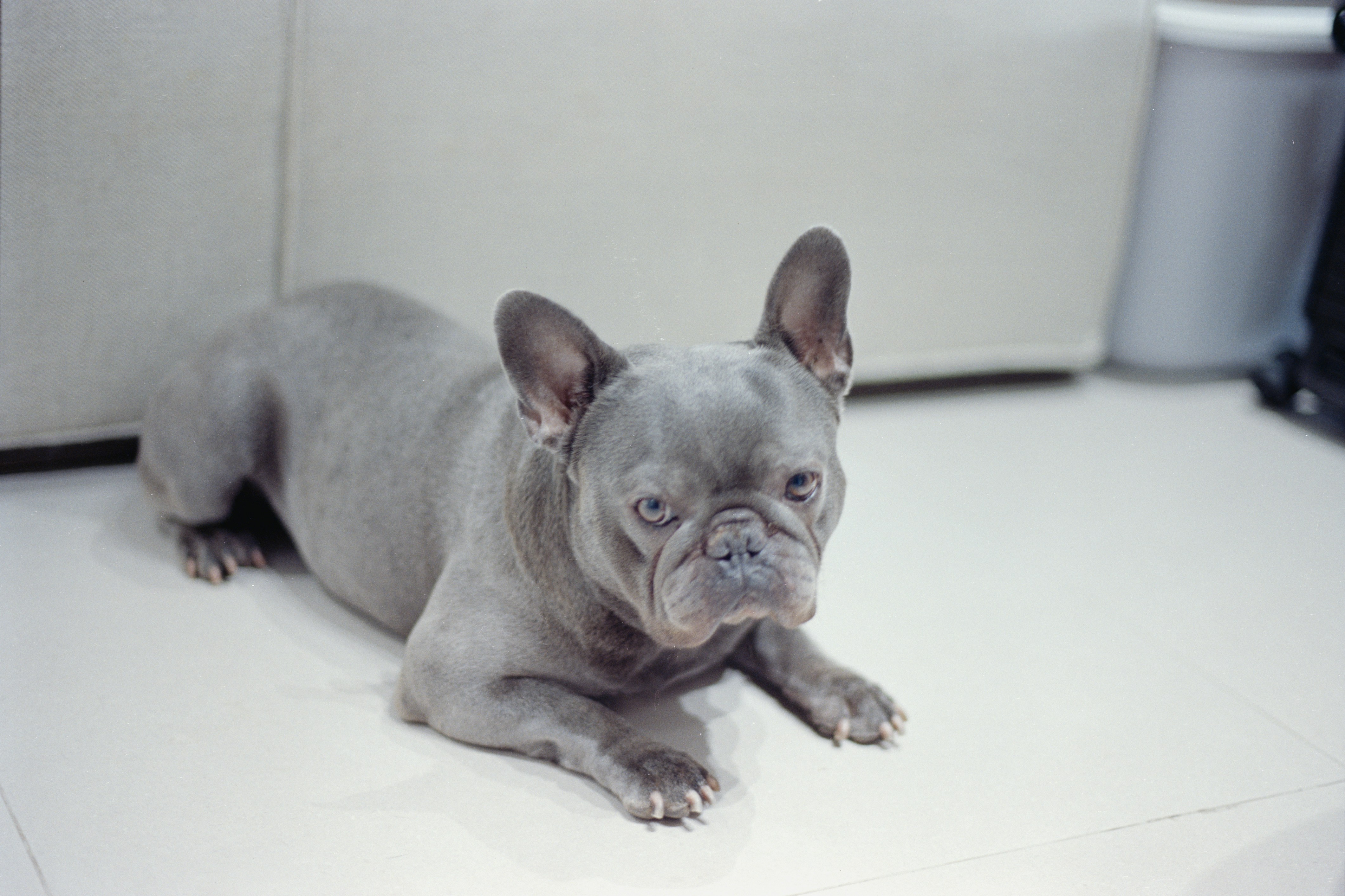 Photo by zhenyao_photo