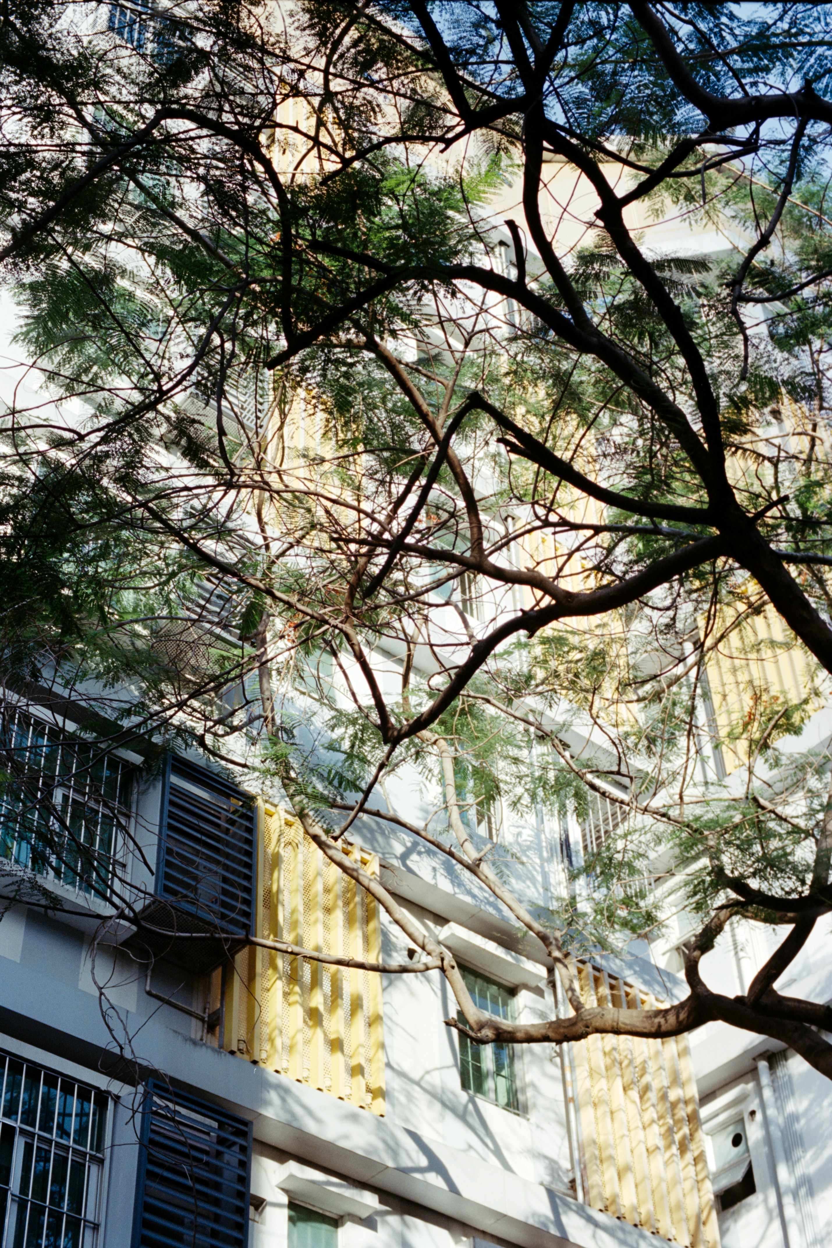 Photo by zhenyao_photo