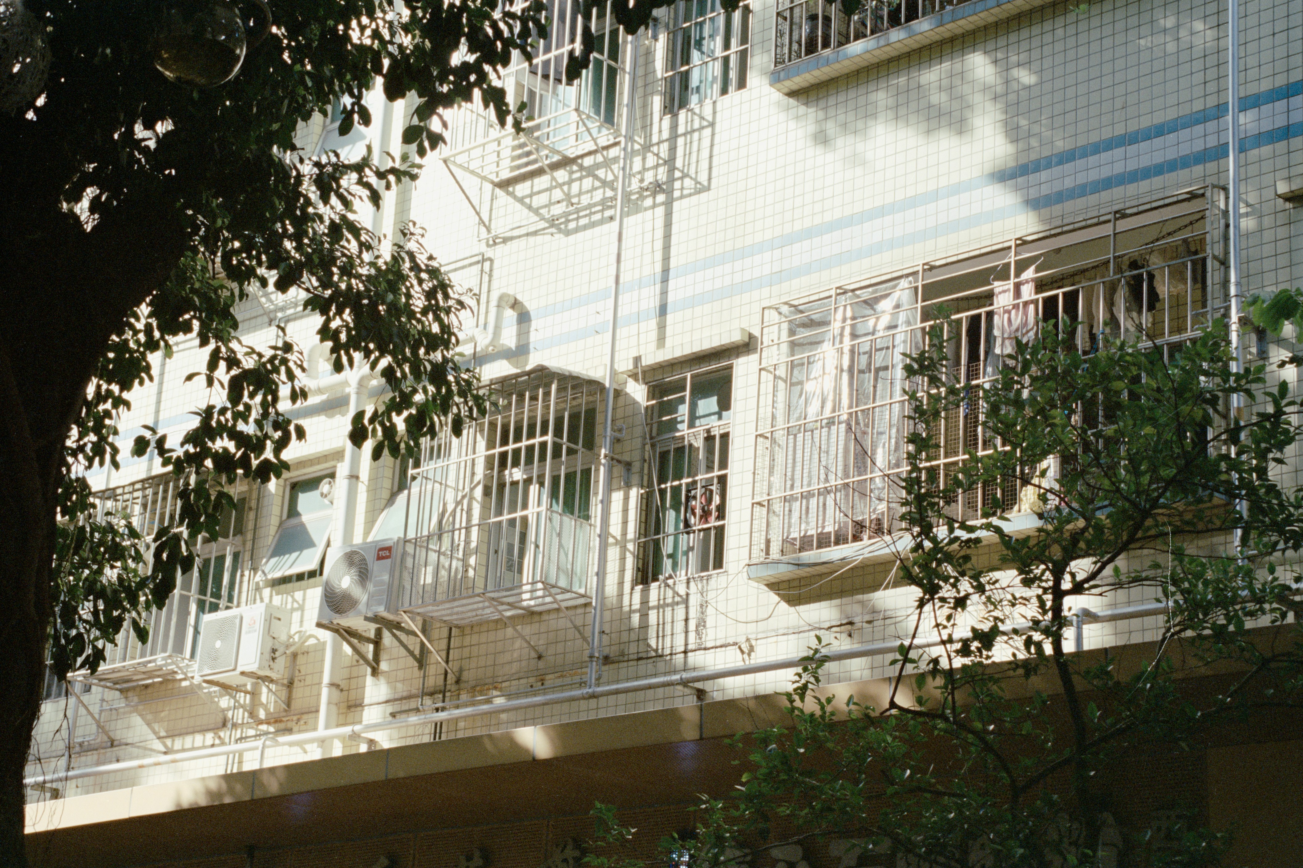 Photo by zhenyao_photo