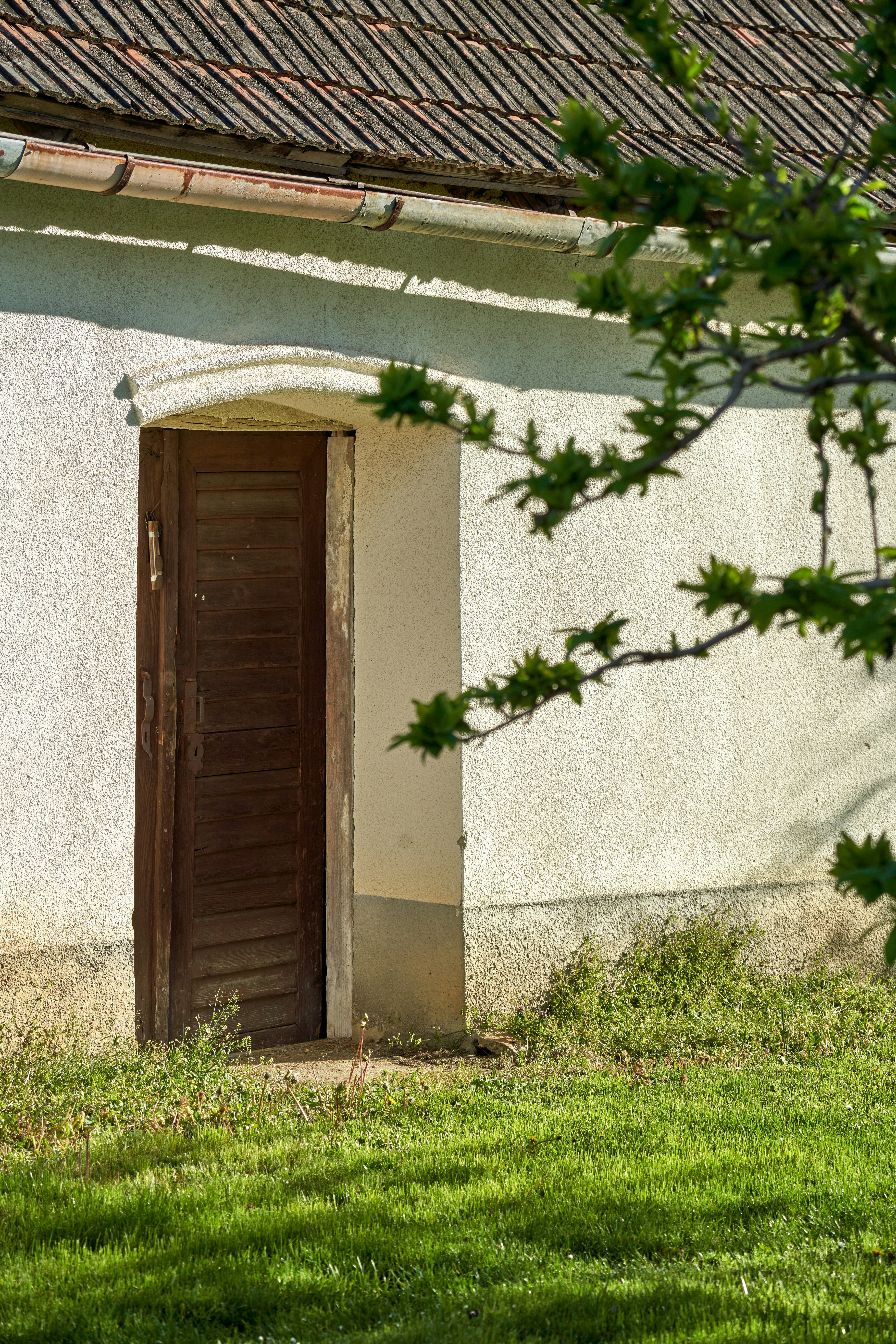 Photo by davotibarna