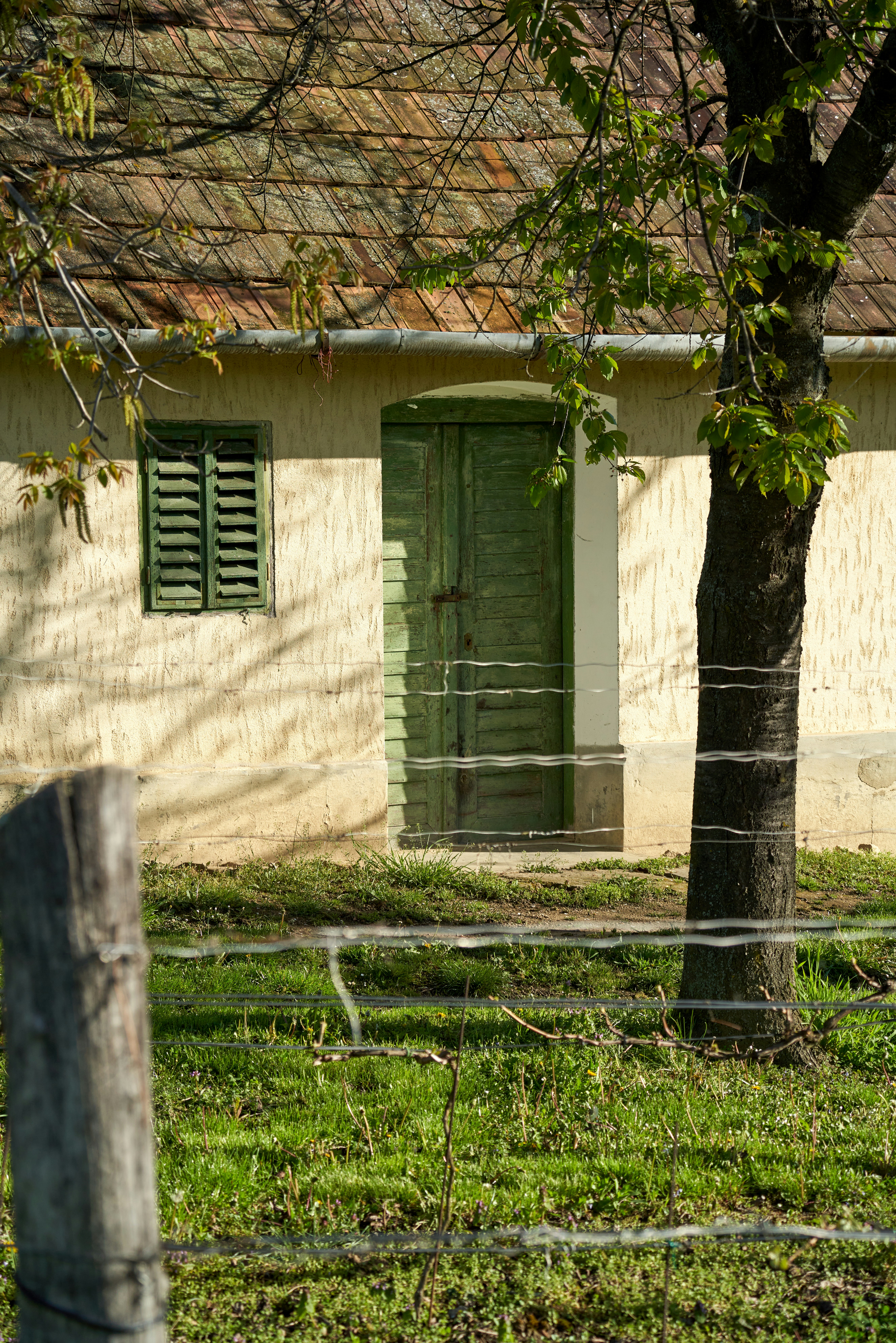 Rustic wooden door on old adobe vineyard house in Hungary