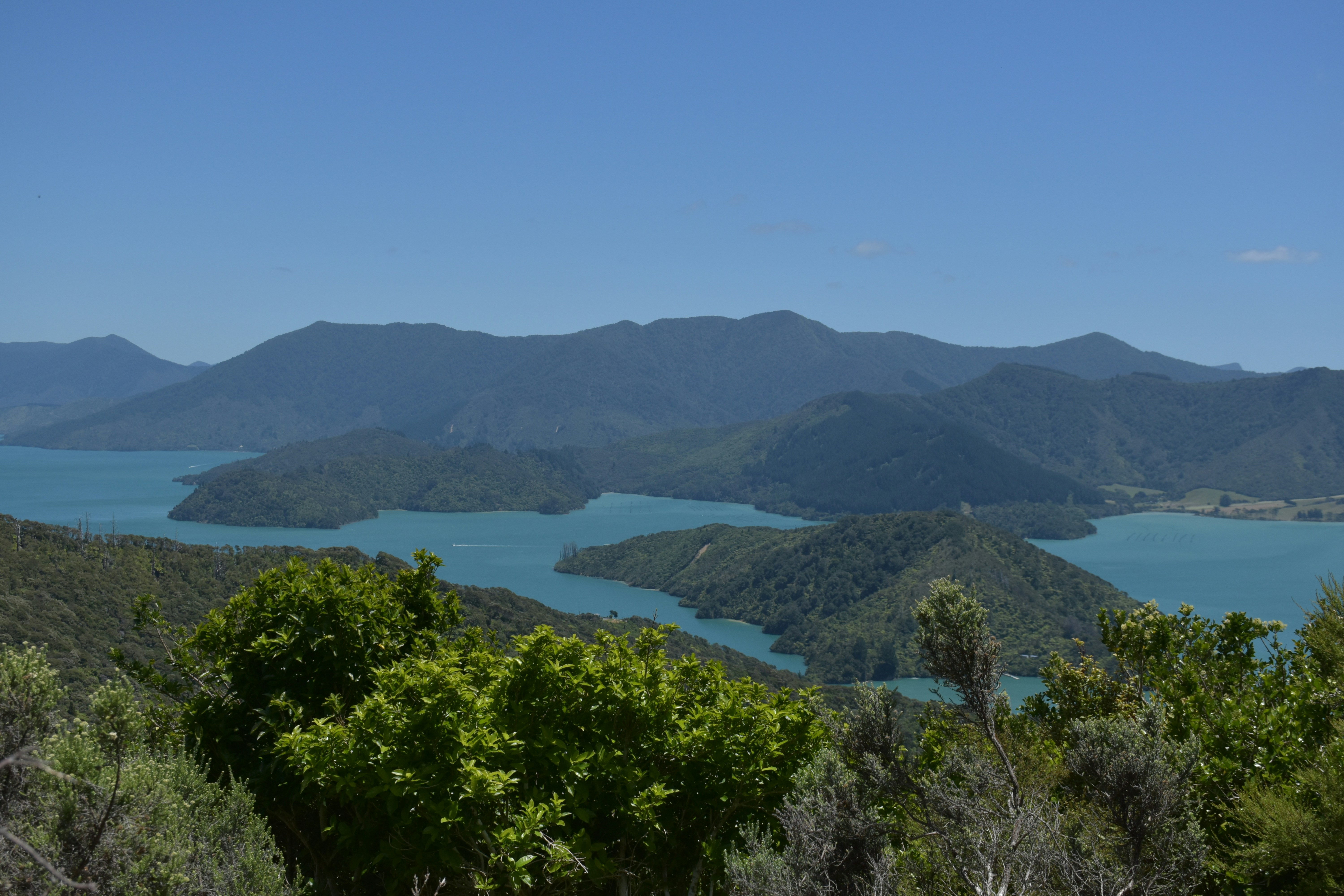 Mountains and ocean meet in a beautiful landscape.