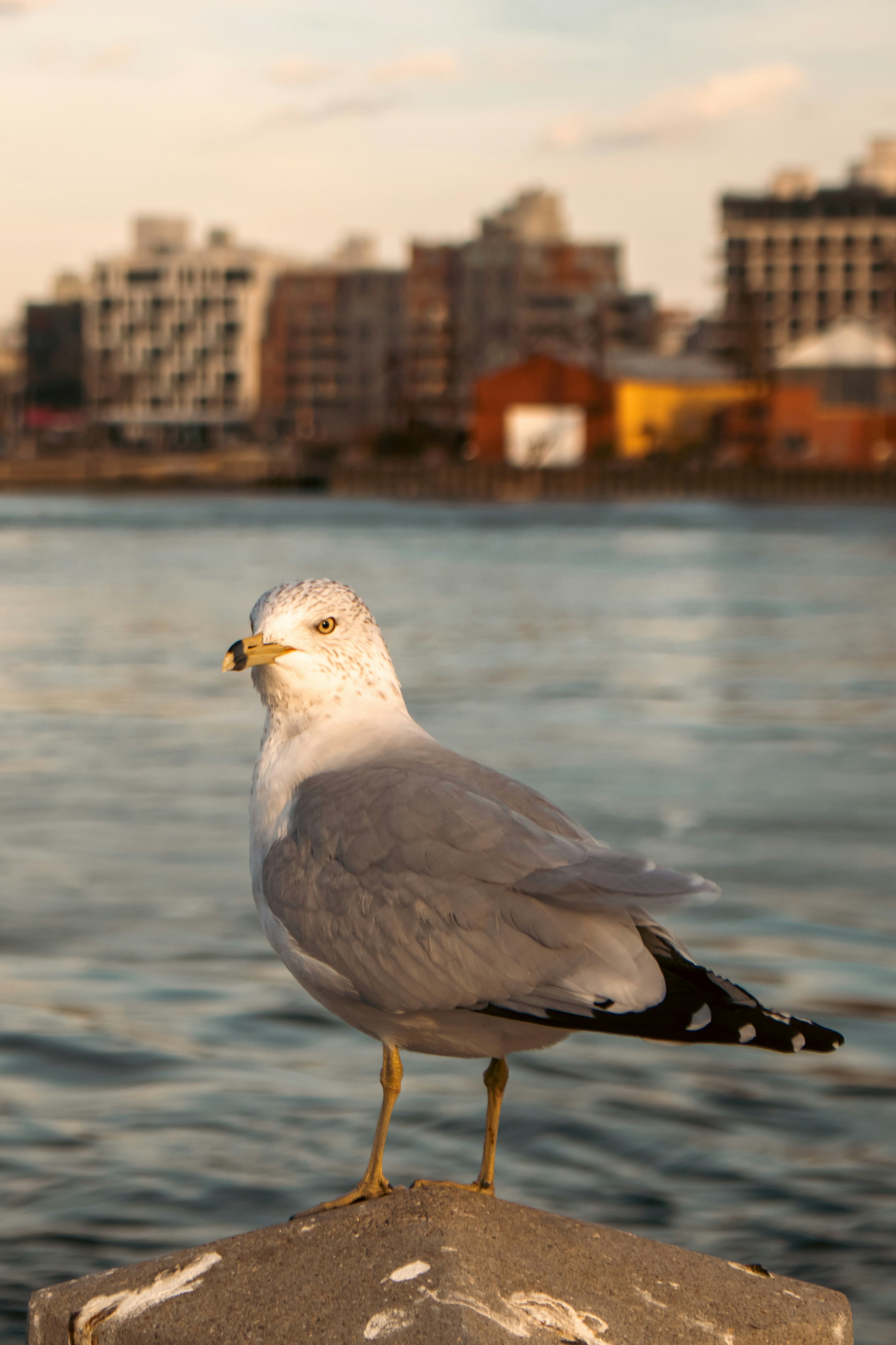 Photo by zoshuacolah