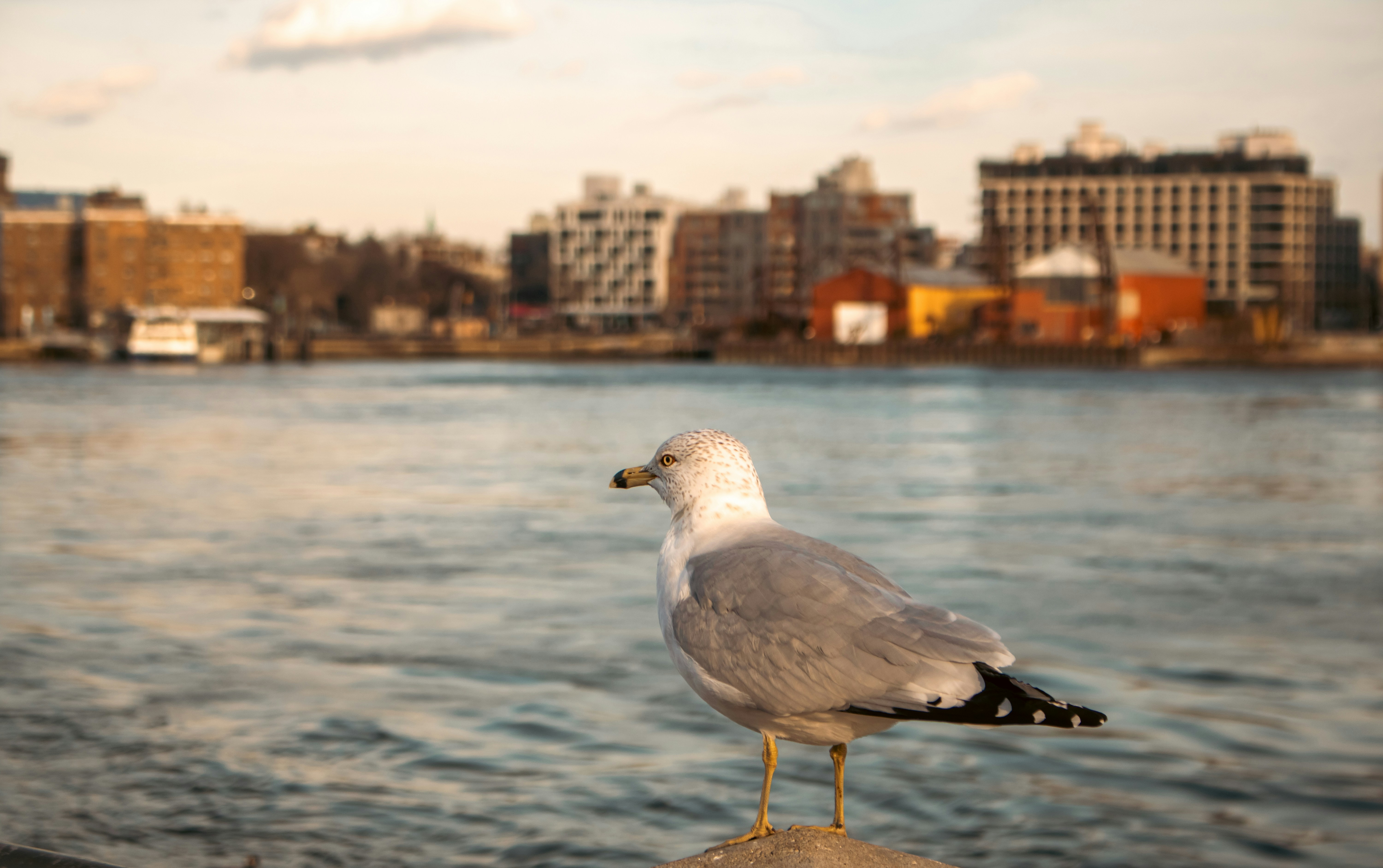 Photo by zoshuacolah