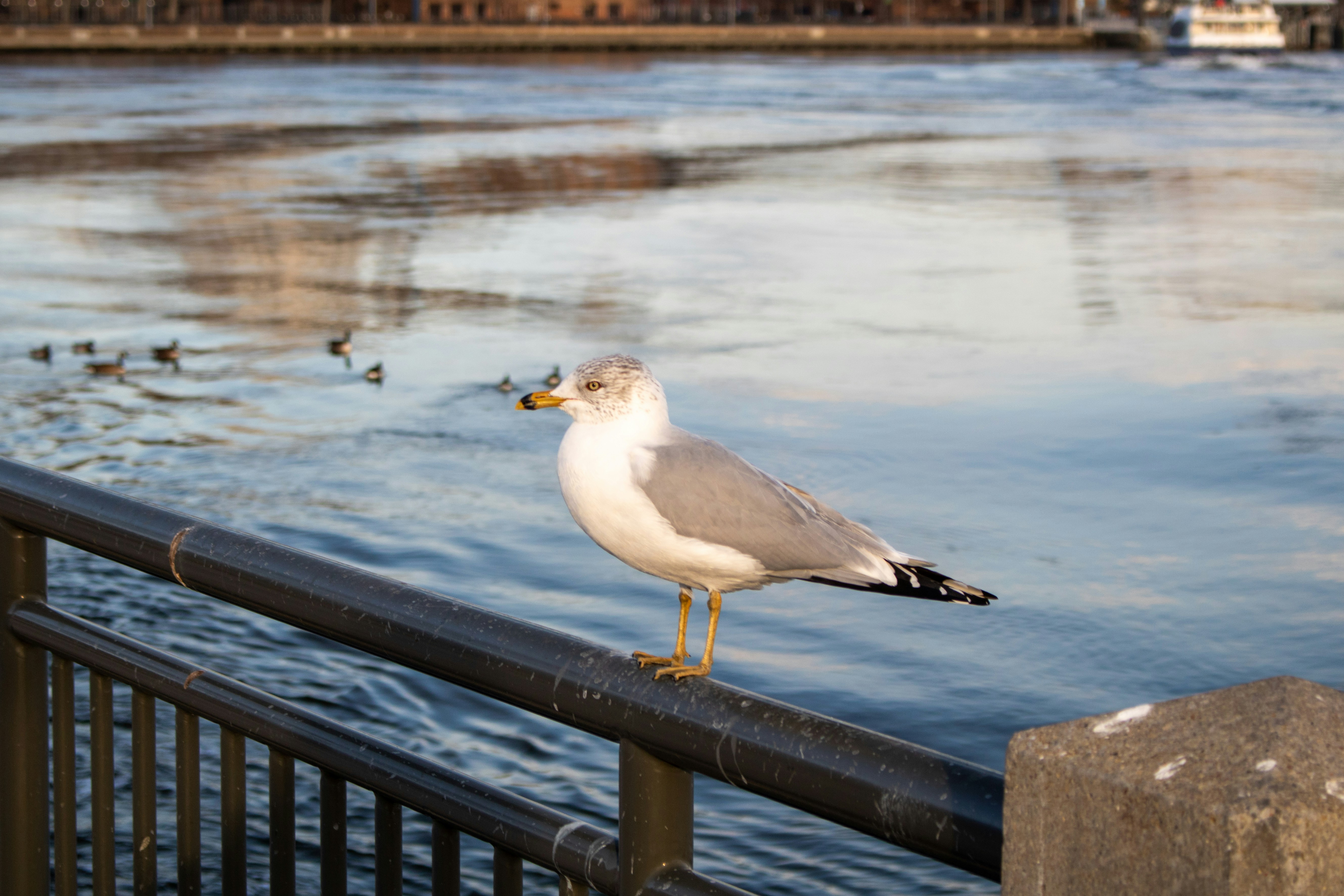 Photo by zoshuacolah