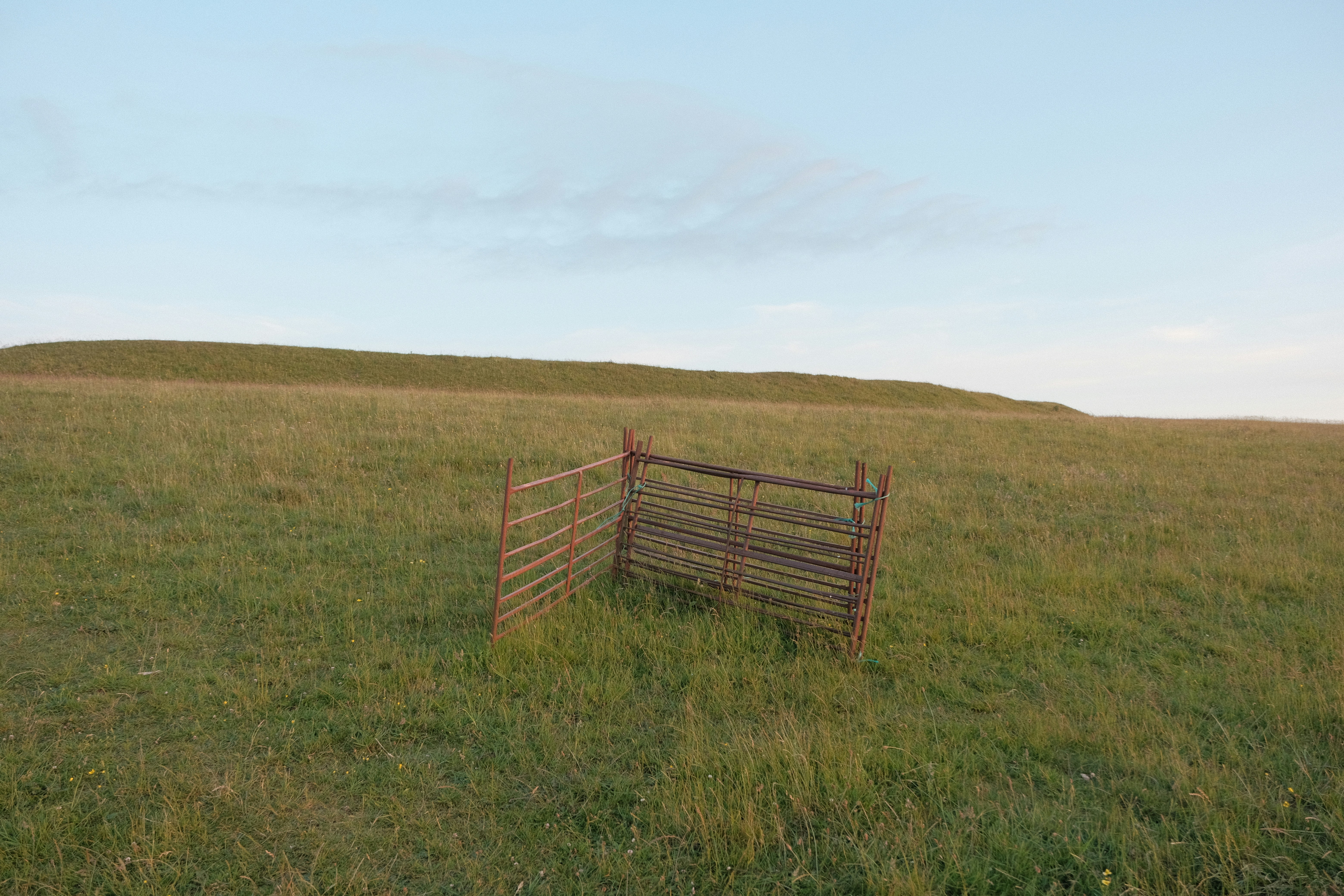 Fence stands alone in a grassy field.