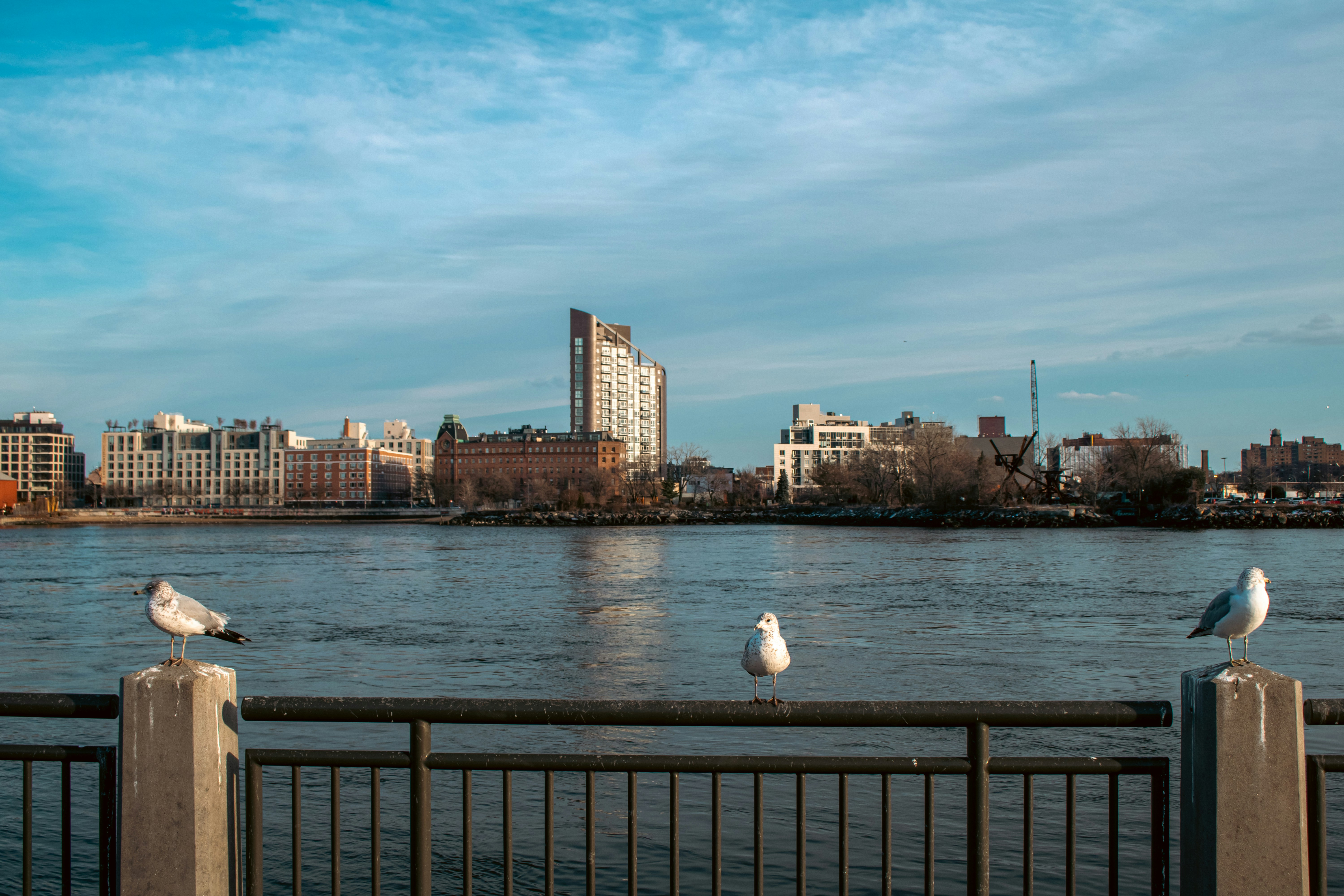 Photo by zoshuacolah