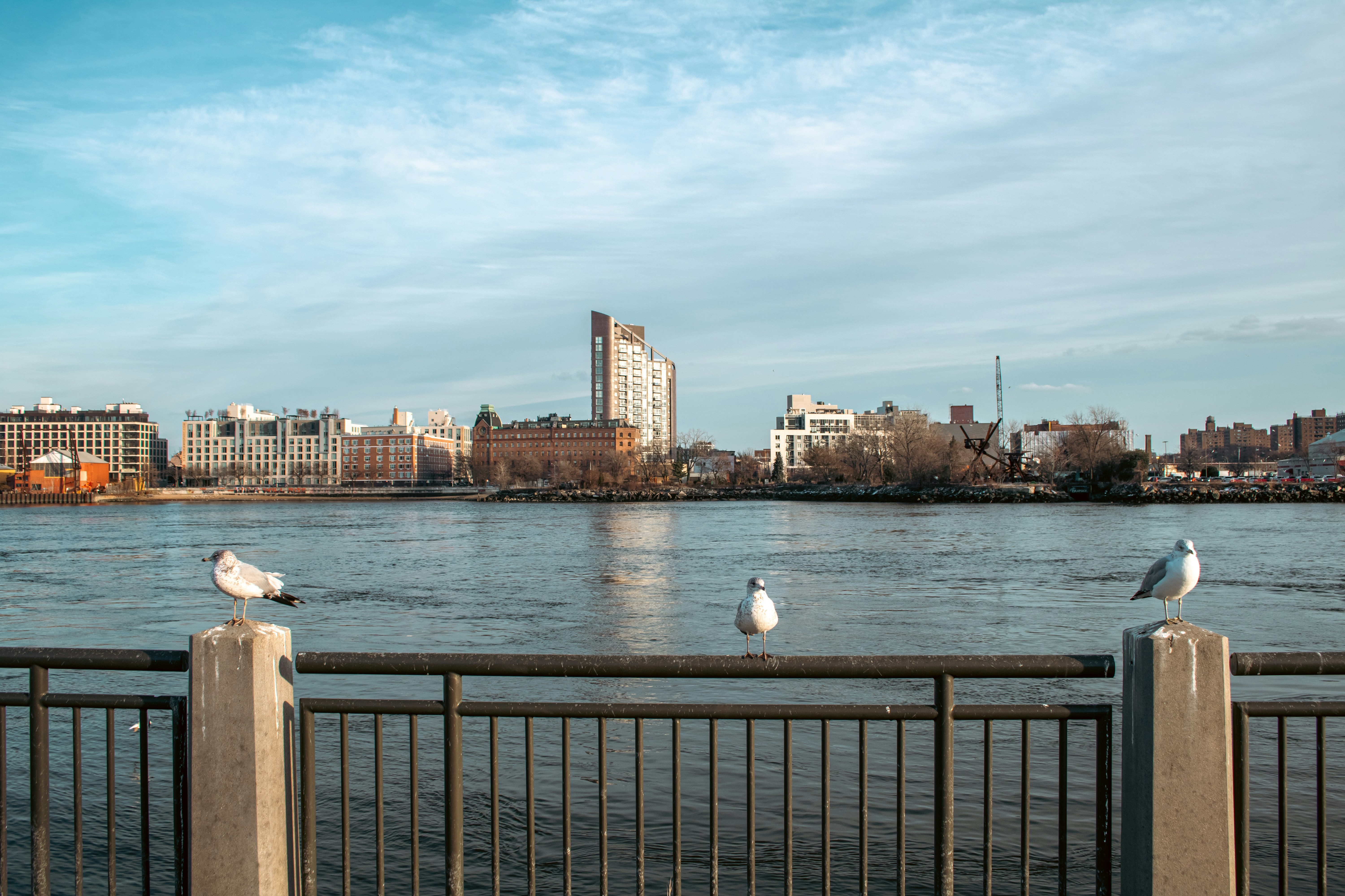 Photo by zoshuacolah