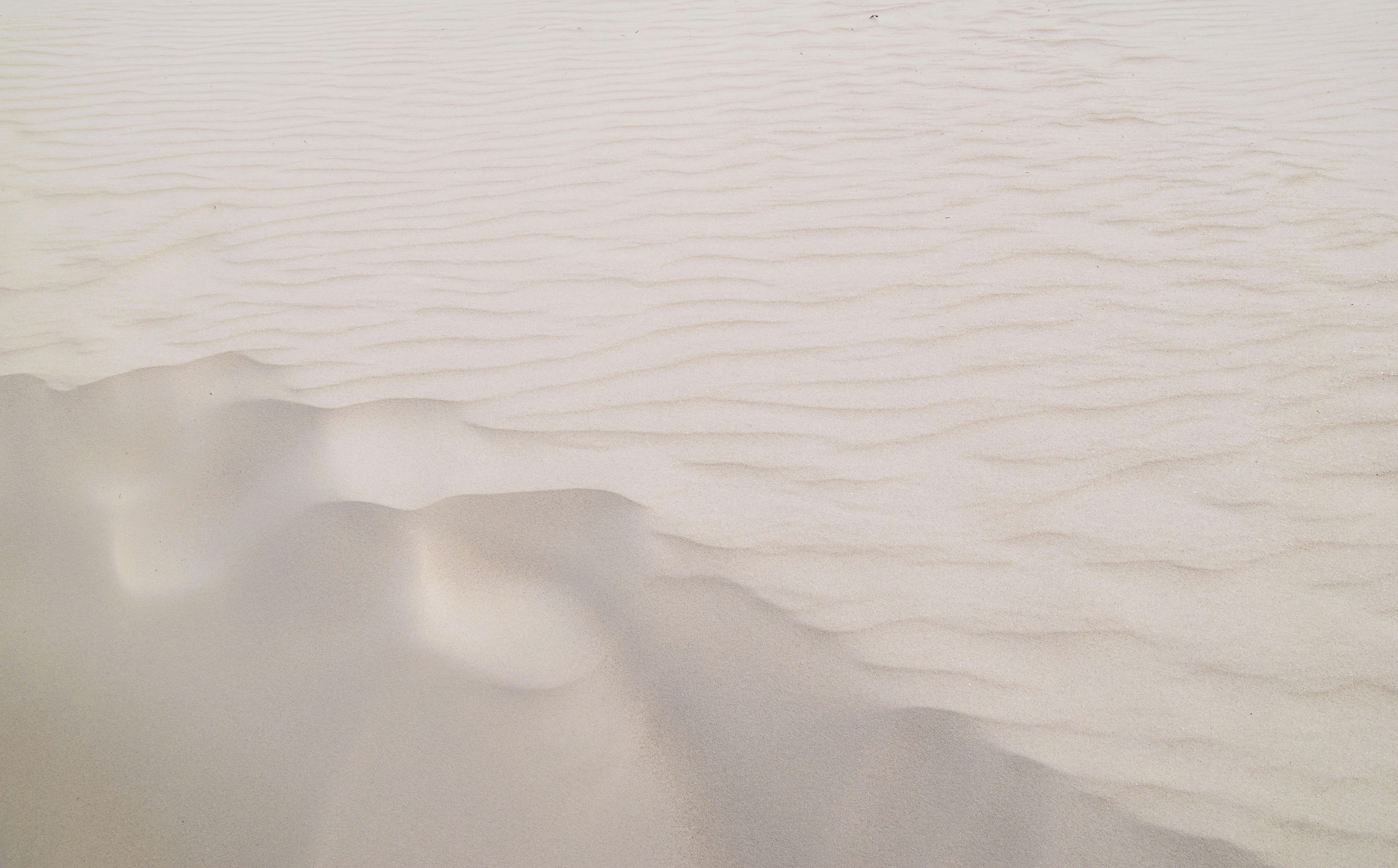 13 Things About Fast Back Door Installers You May Not Have Known